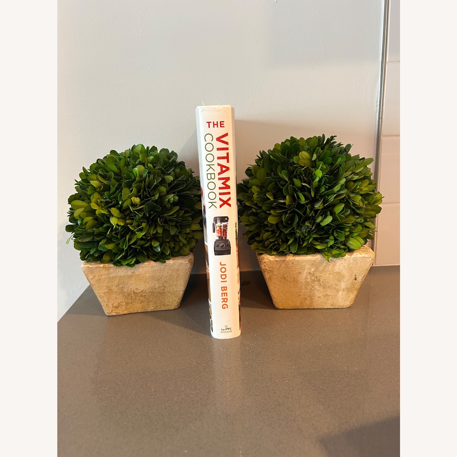 Ballard Designs Preserved Boxwood Topiary - image-3