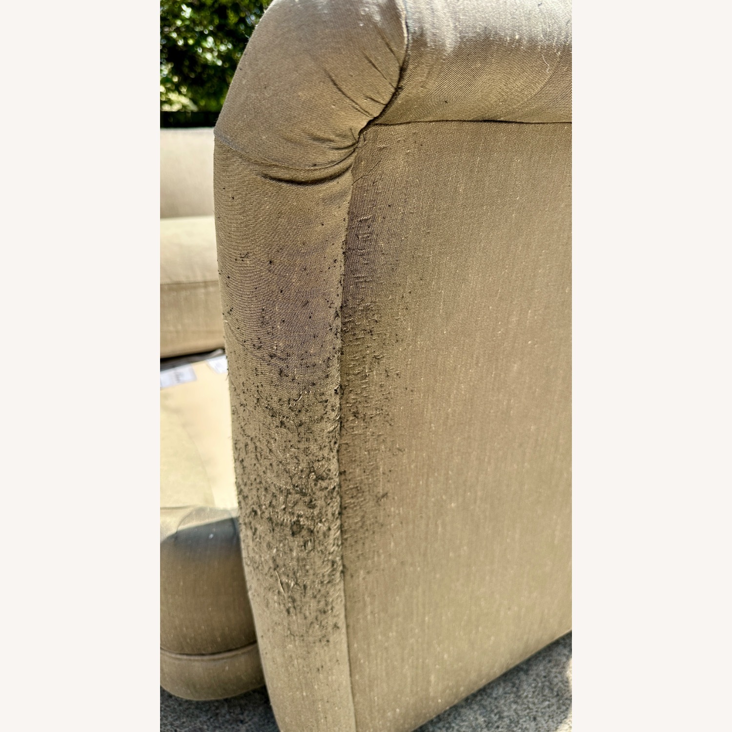 Frederick Edward Designer Loveseat - image-4