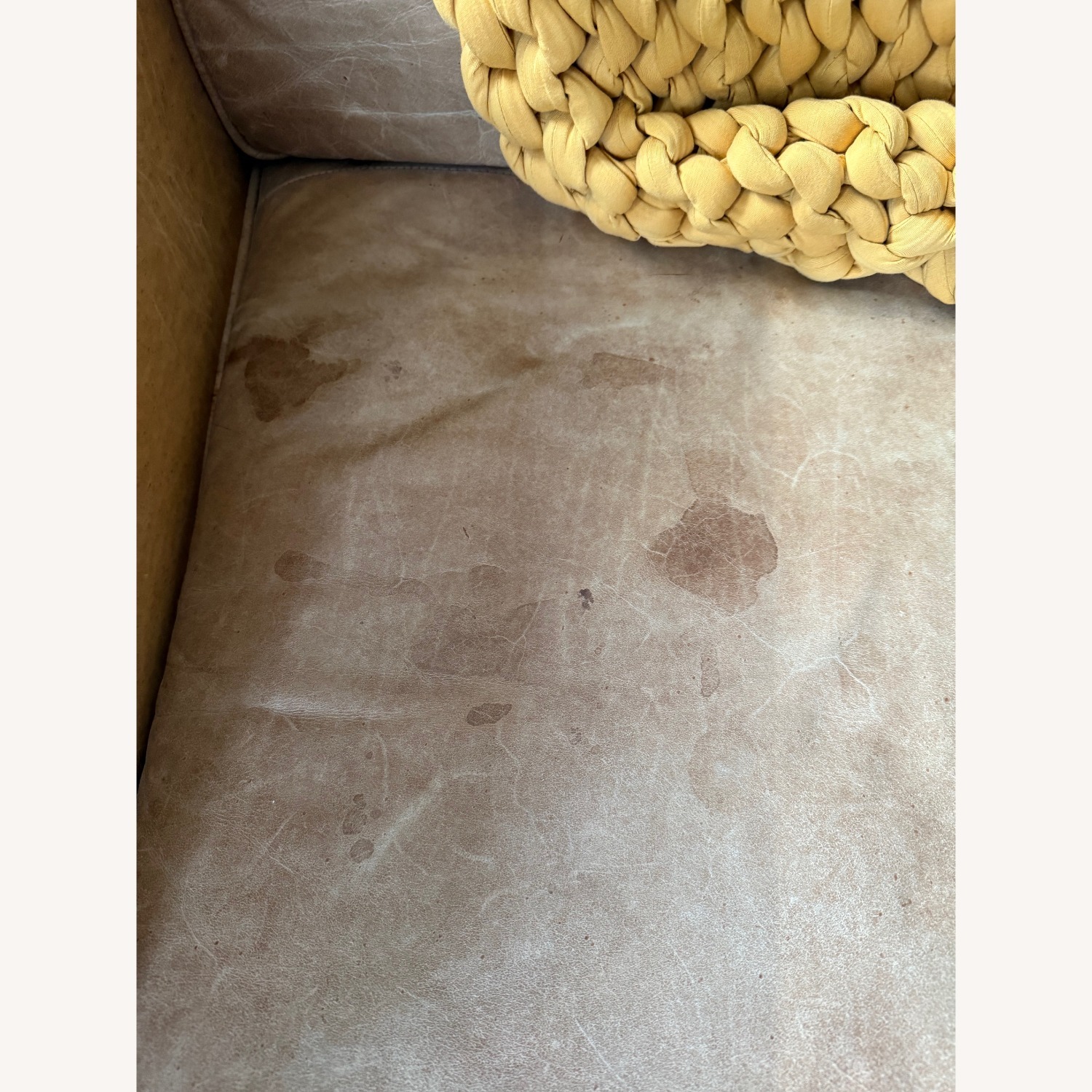 West Elm Hamilton Full Leather Couch - image-5