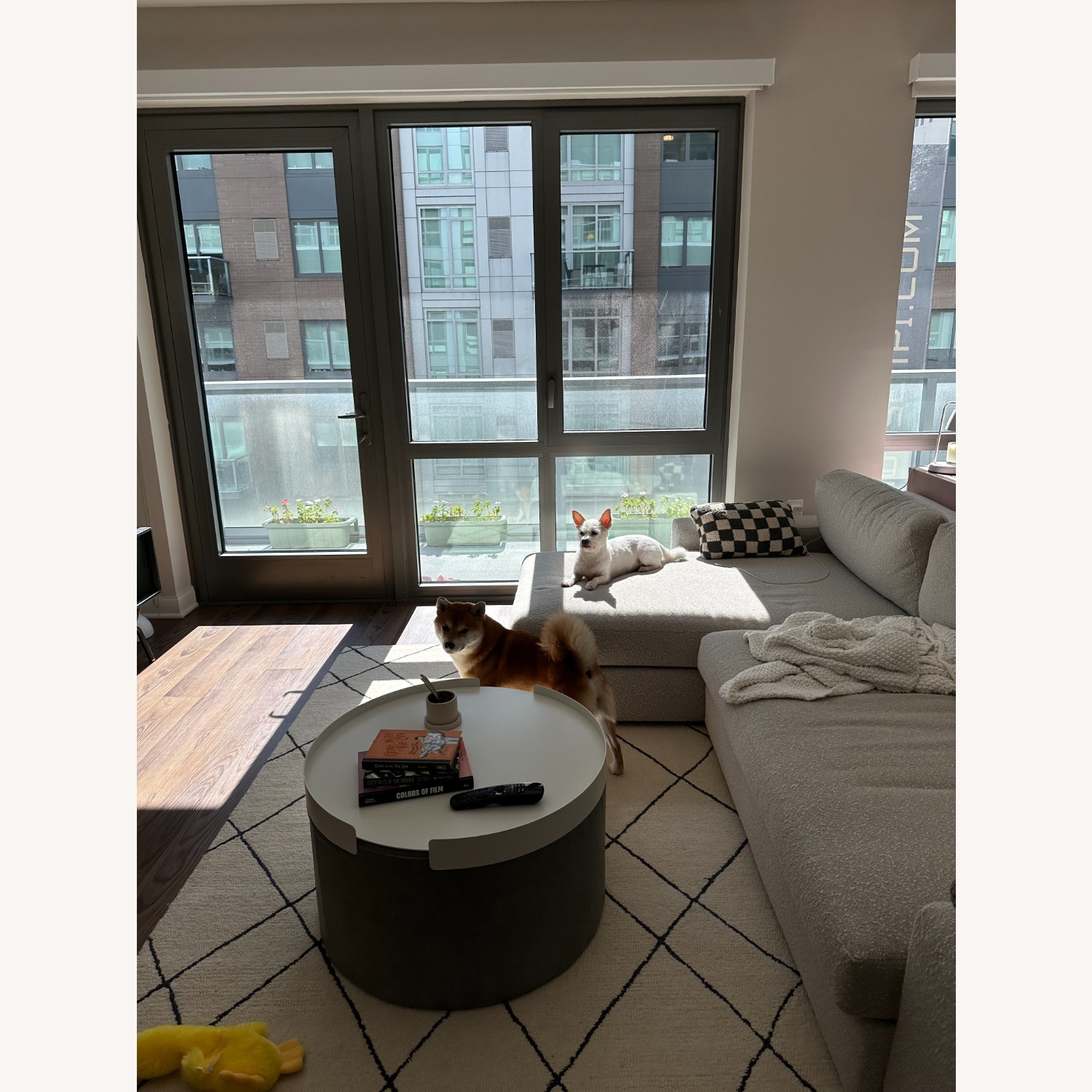 AllModern Seaton Wool Cream/Black Rug - image-1