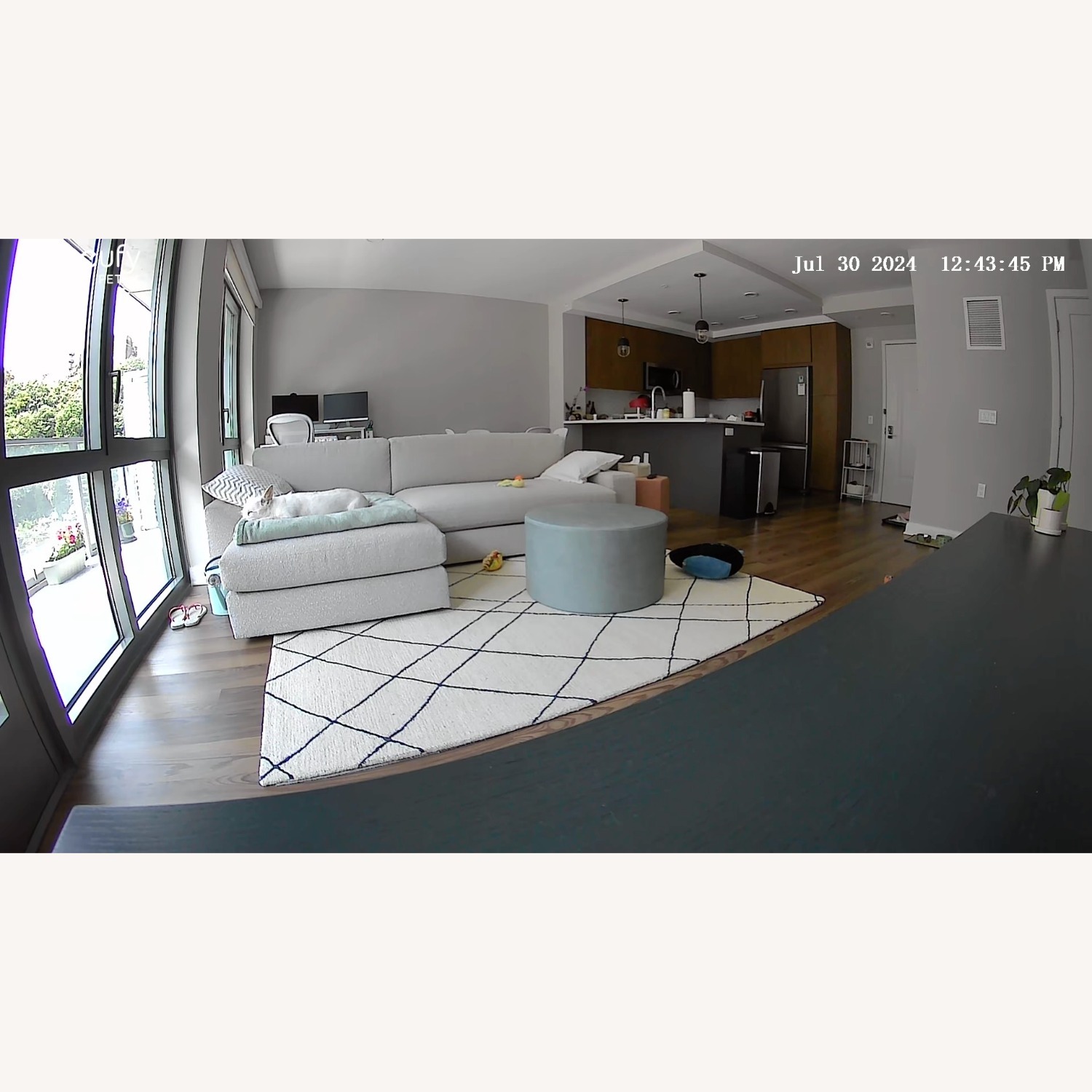 AllModern Seaton Wool Cream/Black Rug - image-3