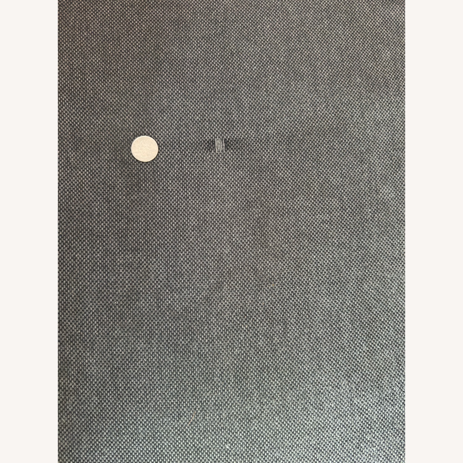 Rove Concepts Sophia Sectional - image-5