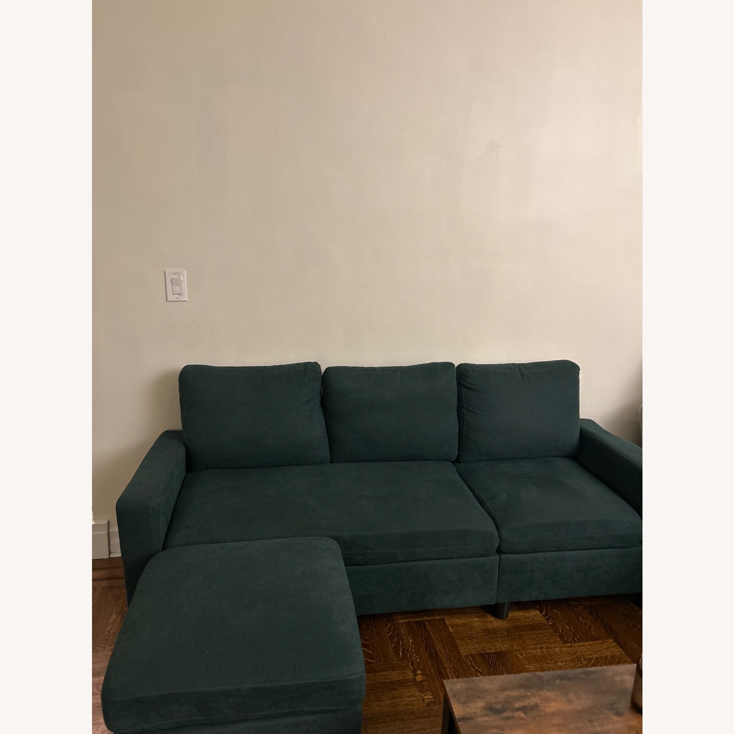Wayfair Degnan Green Sofa - image-1