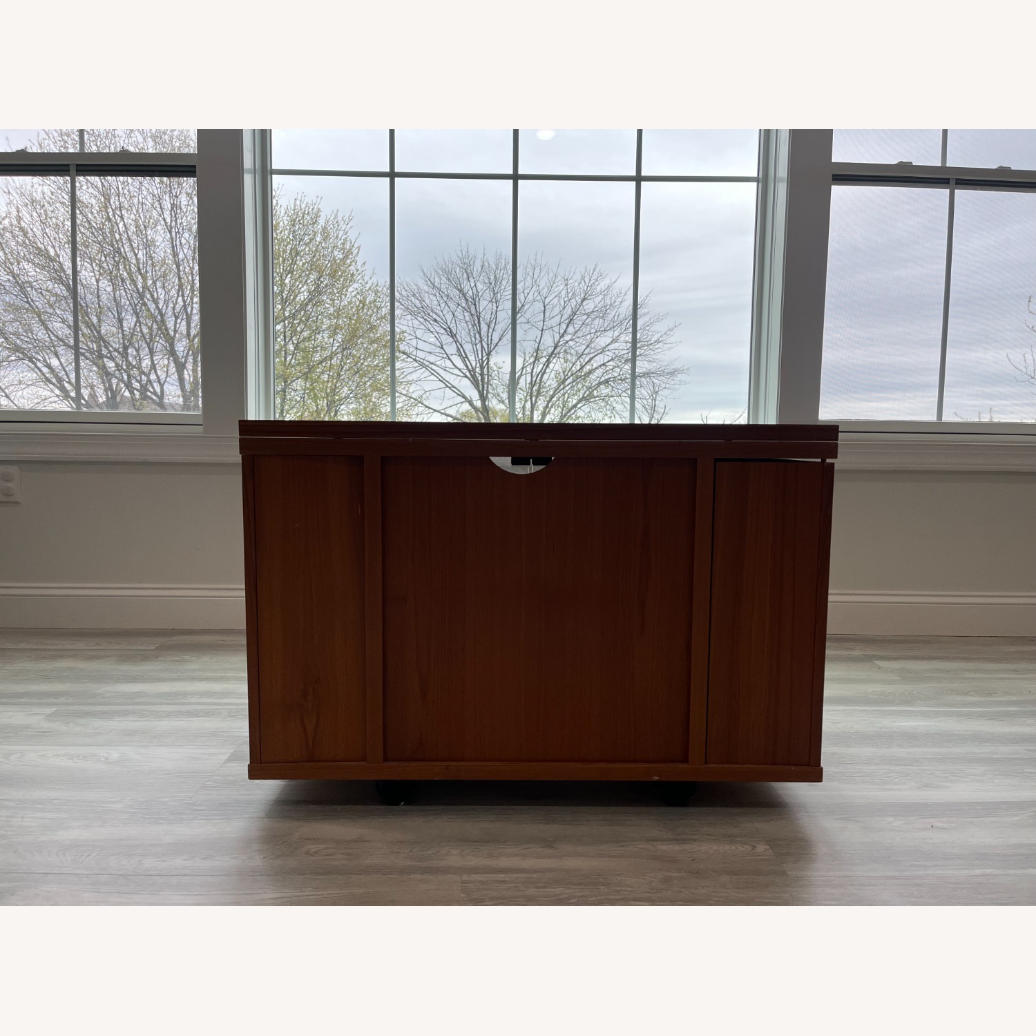 Teak Media Cabinet - image-1