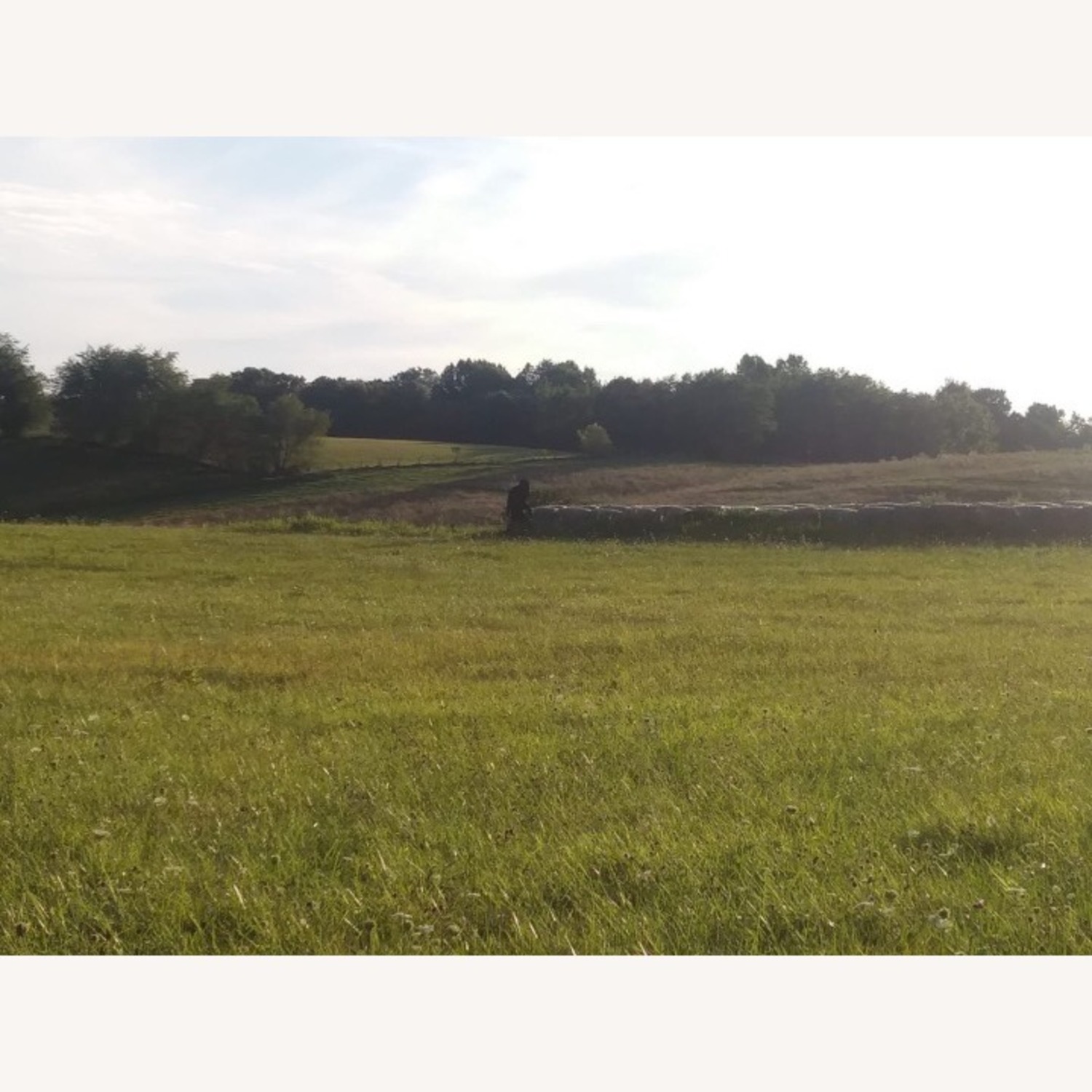 Pottery Barn Mateo 36" Wide Bookcase - image-2