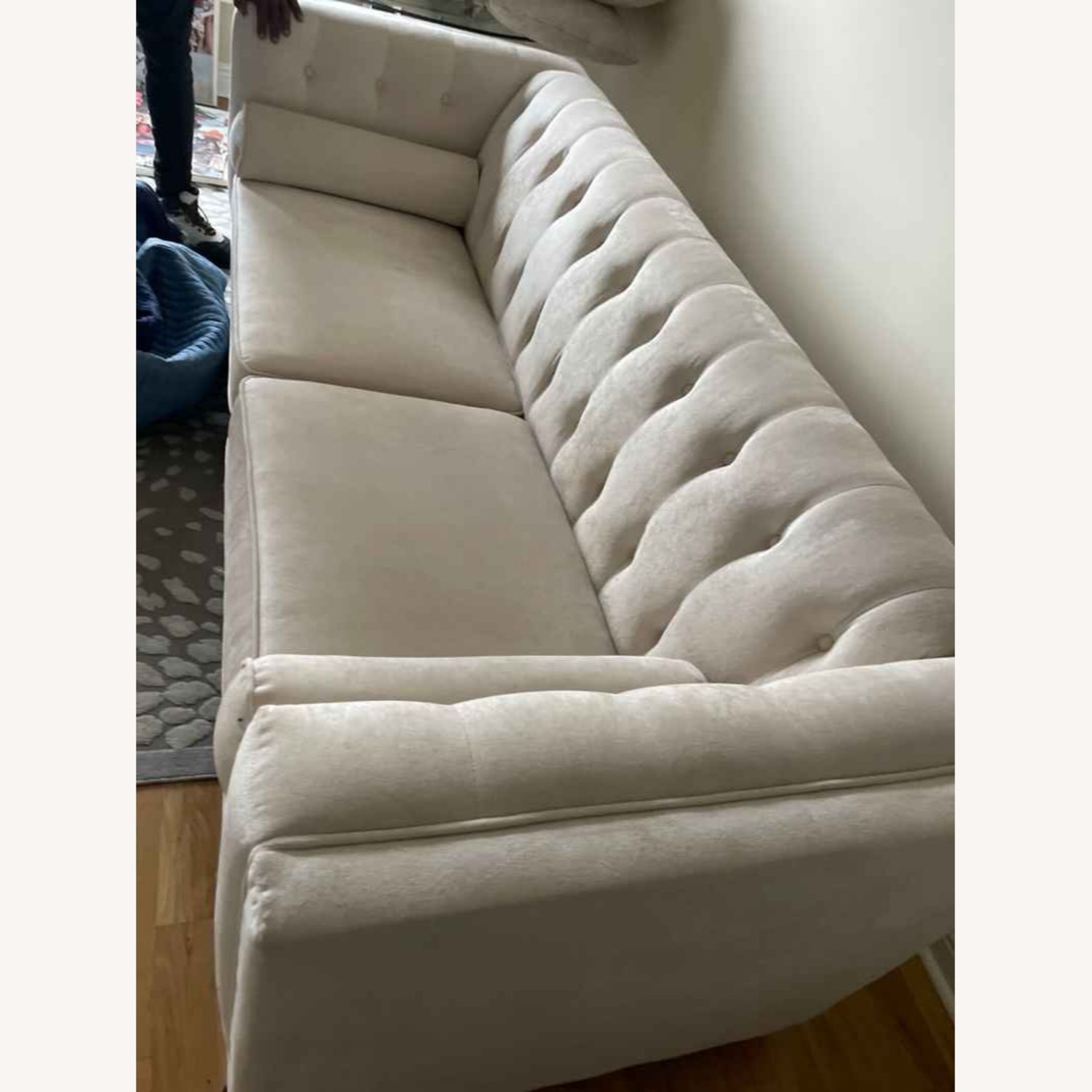 Wayfair House of Hampton Sofa - image-5