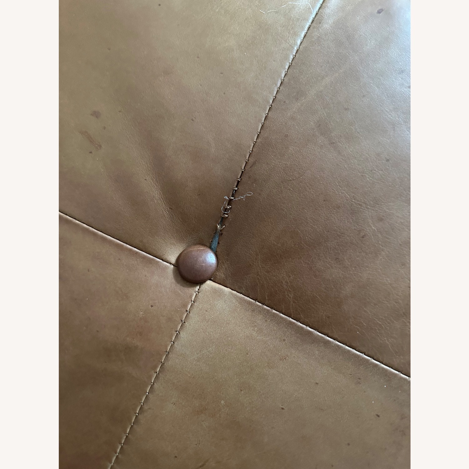 Joybird Eliot Leather Sofa - image-5