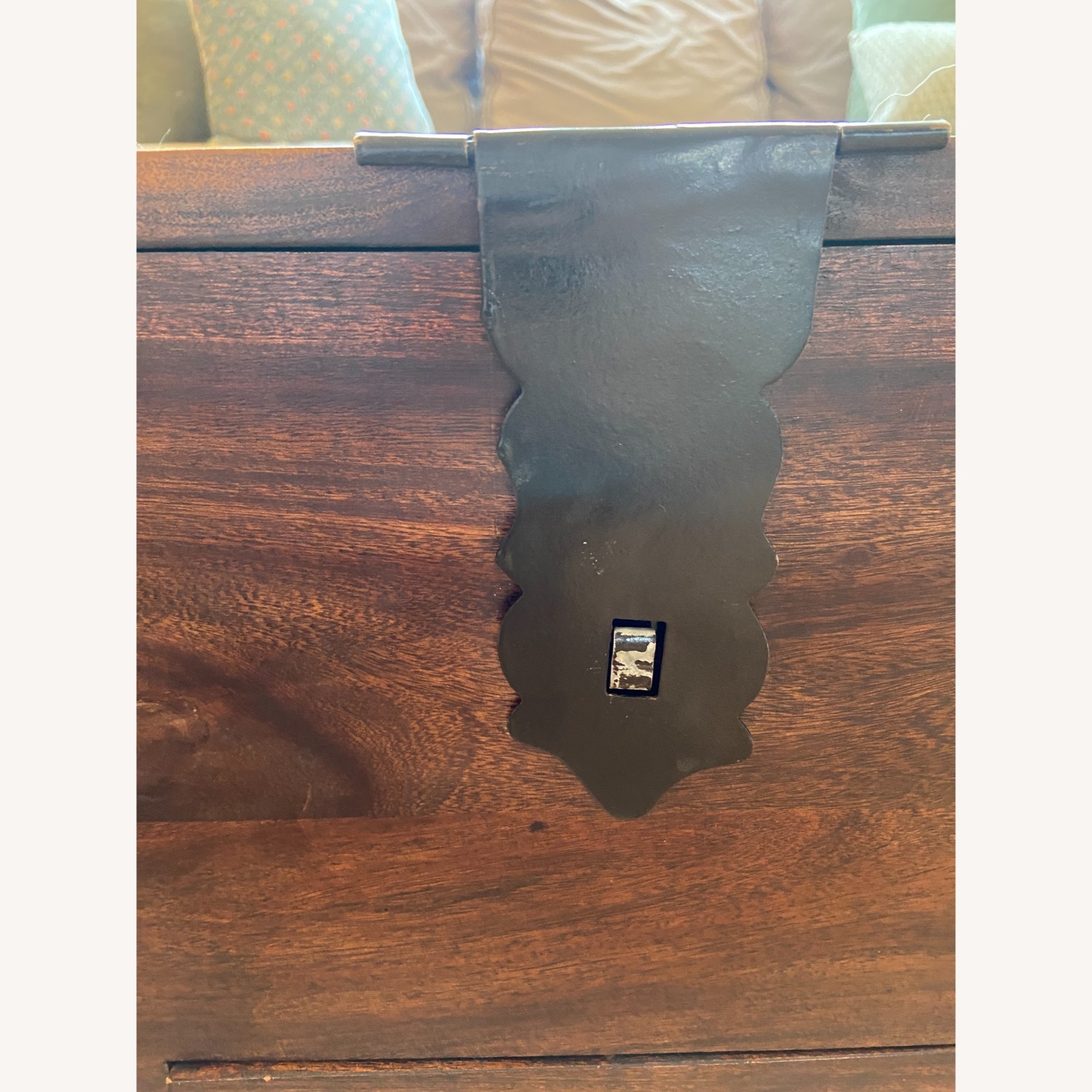 Pier 1 Imports Solid Wood Coffee Table/Trunk W Storage - image-9