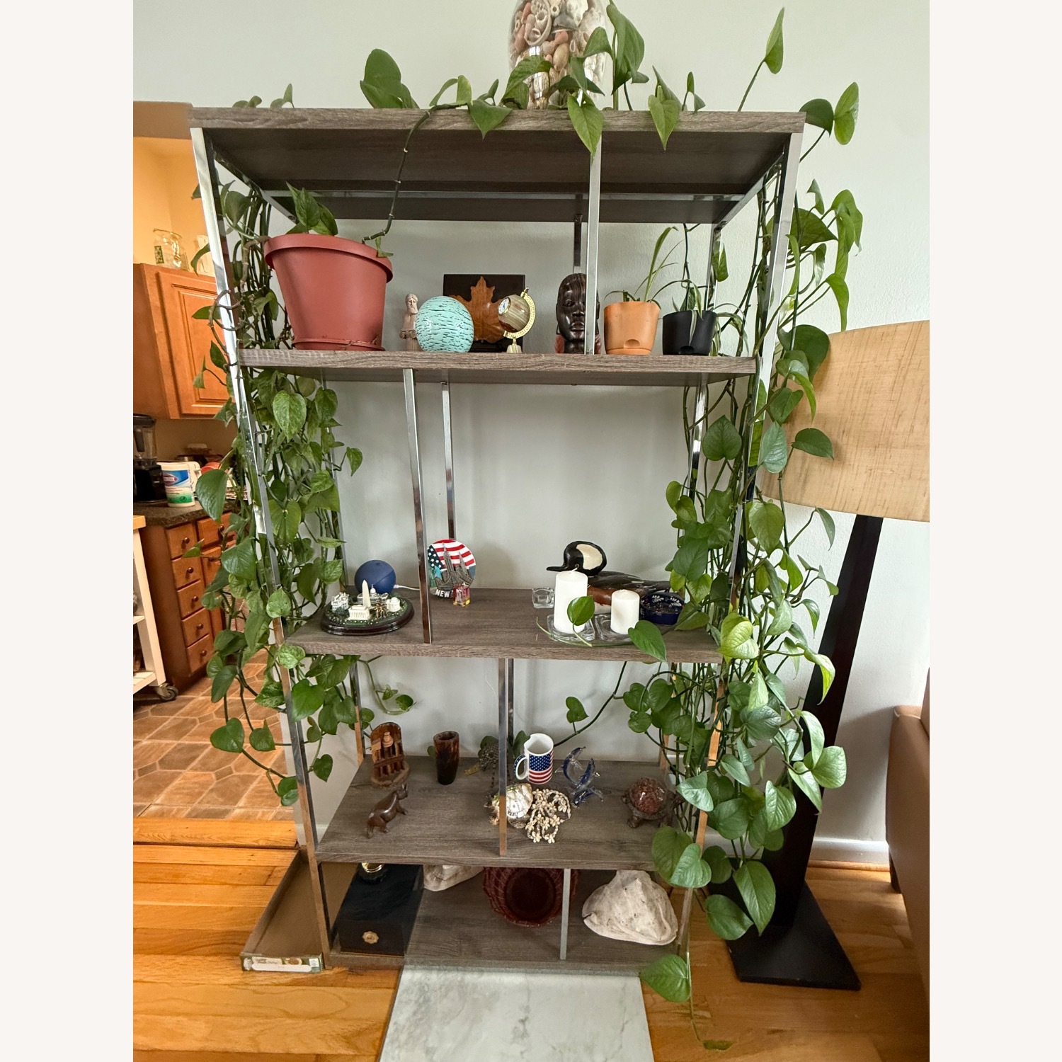 Bookcase Shelves - image-3