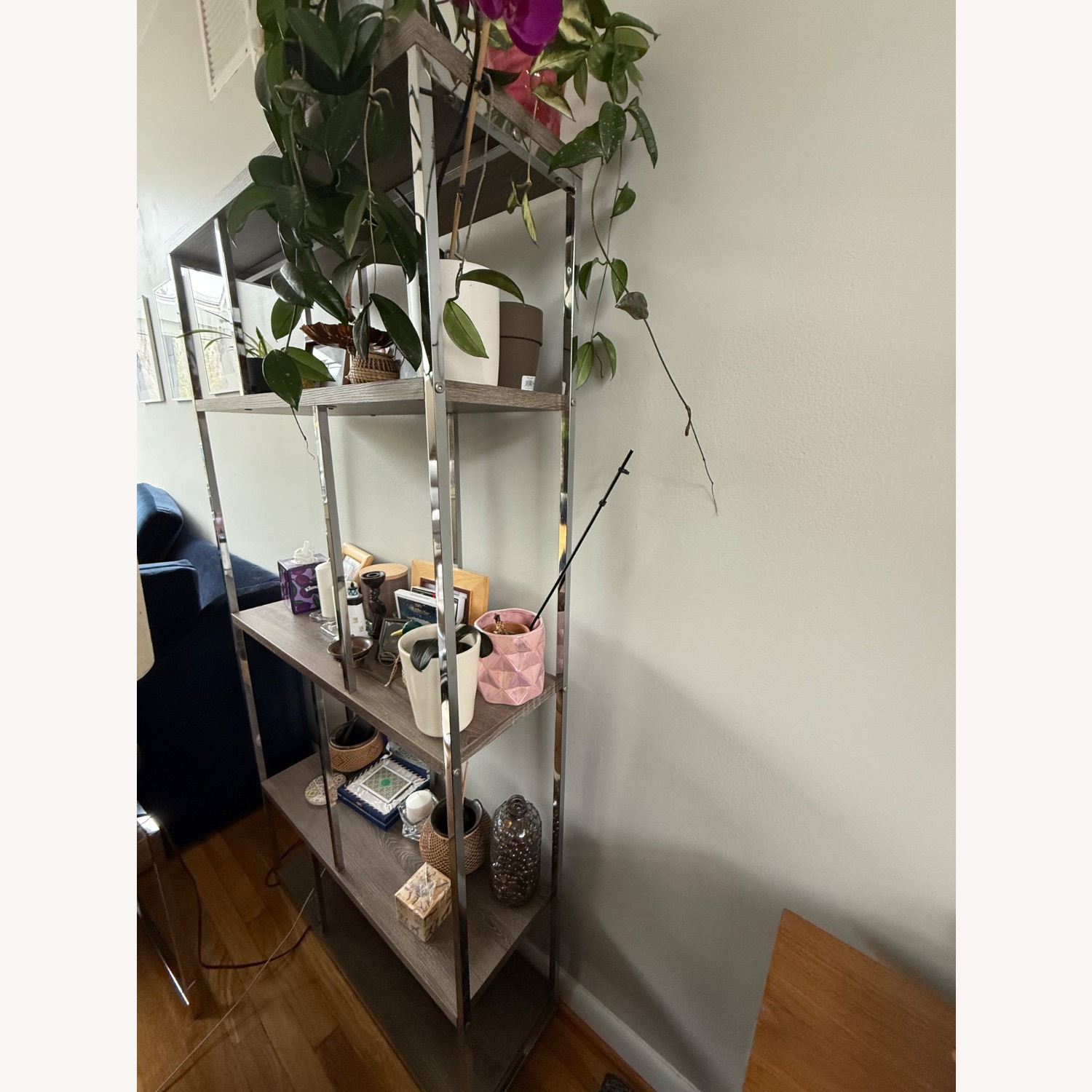 Bookcase Shelves - image-2