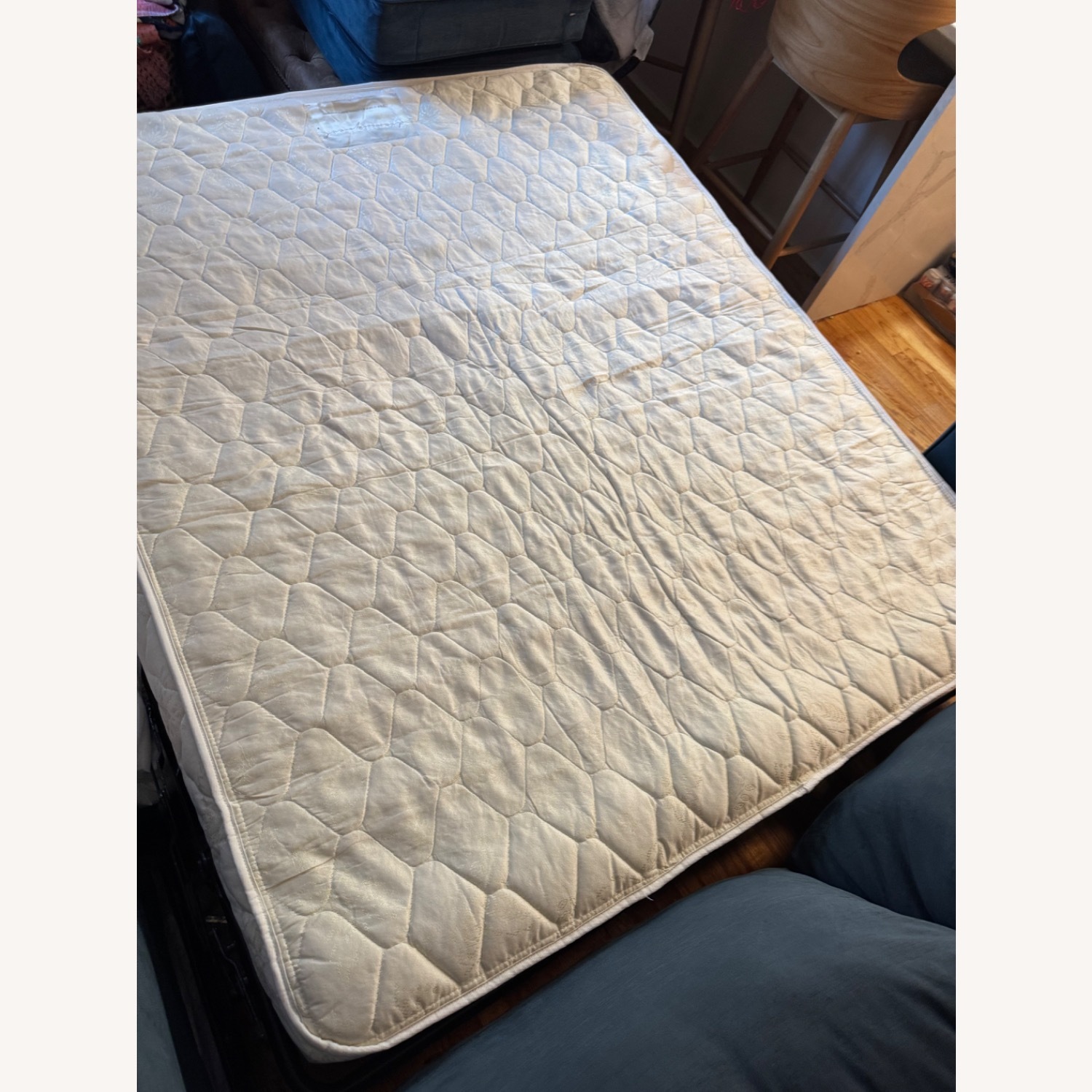 All Modern Blue Sleeper Sofa - image-3