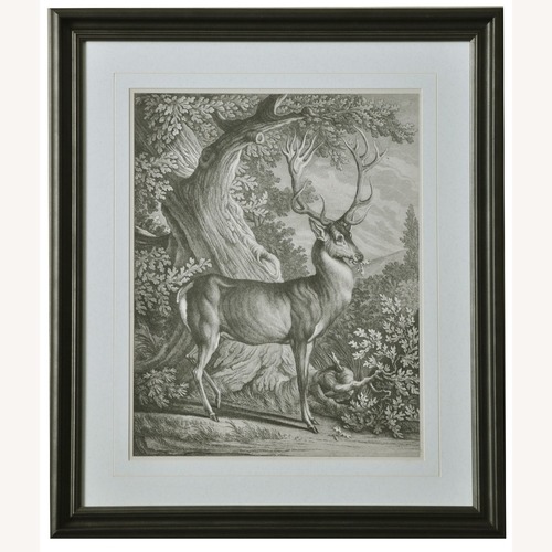 Used Antler Wall Art for sale on AptDeco