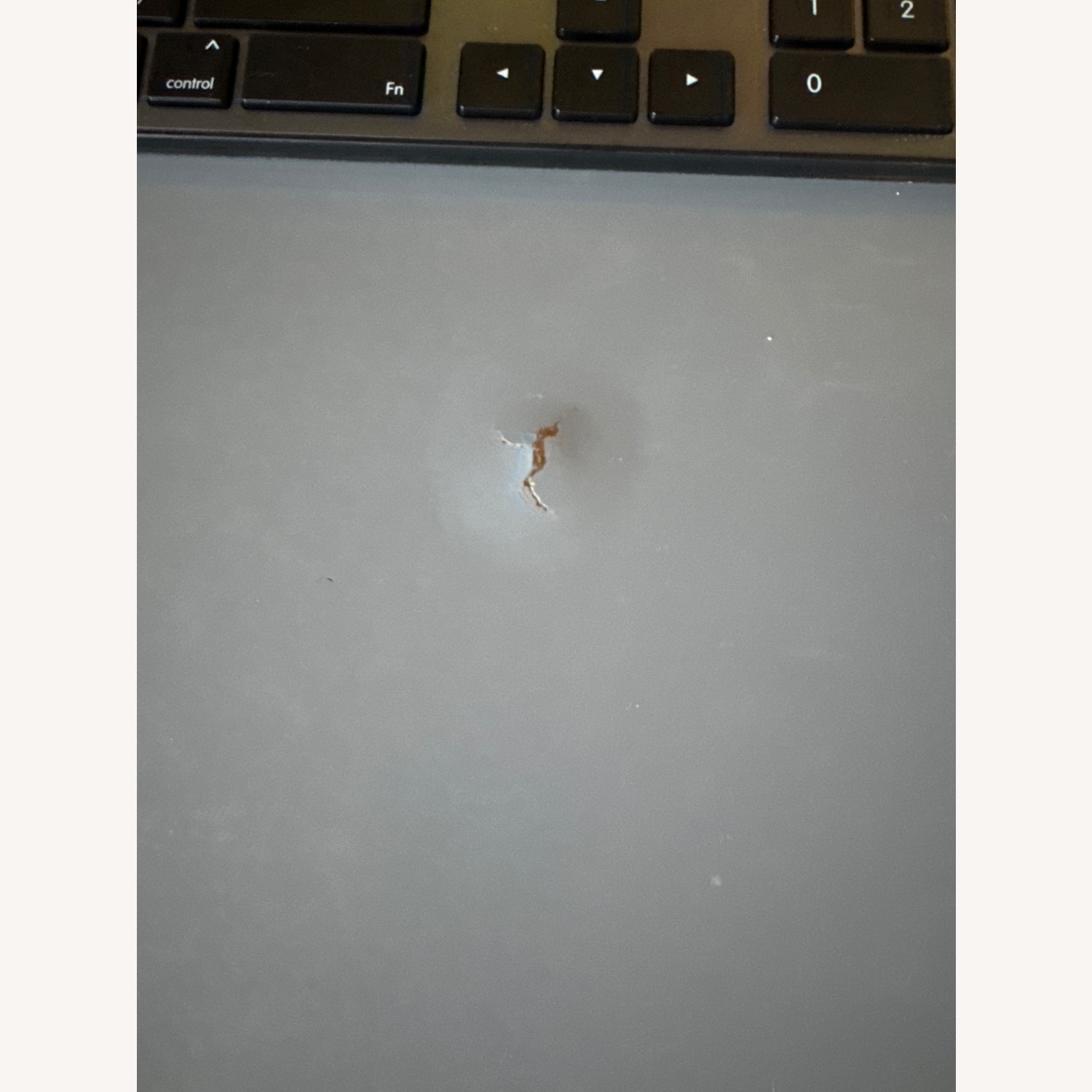 Loft Bed with Desk and Ladder, Twin, Gray - image-5