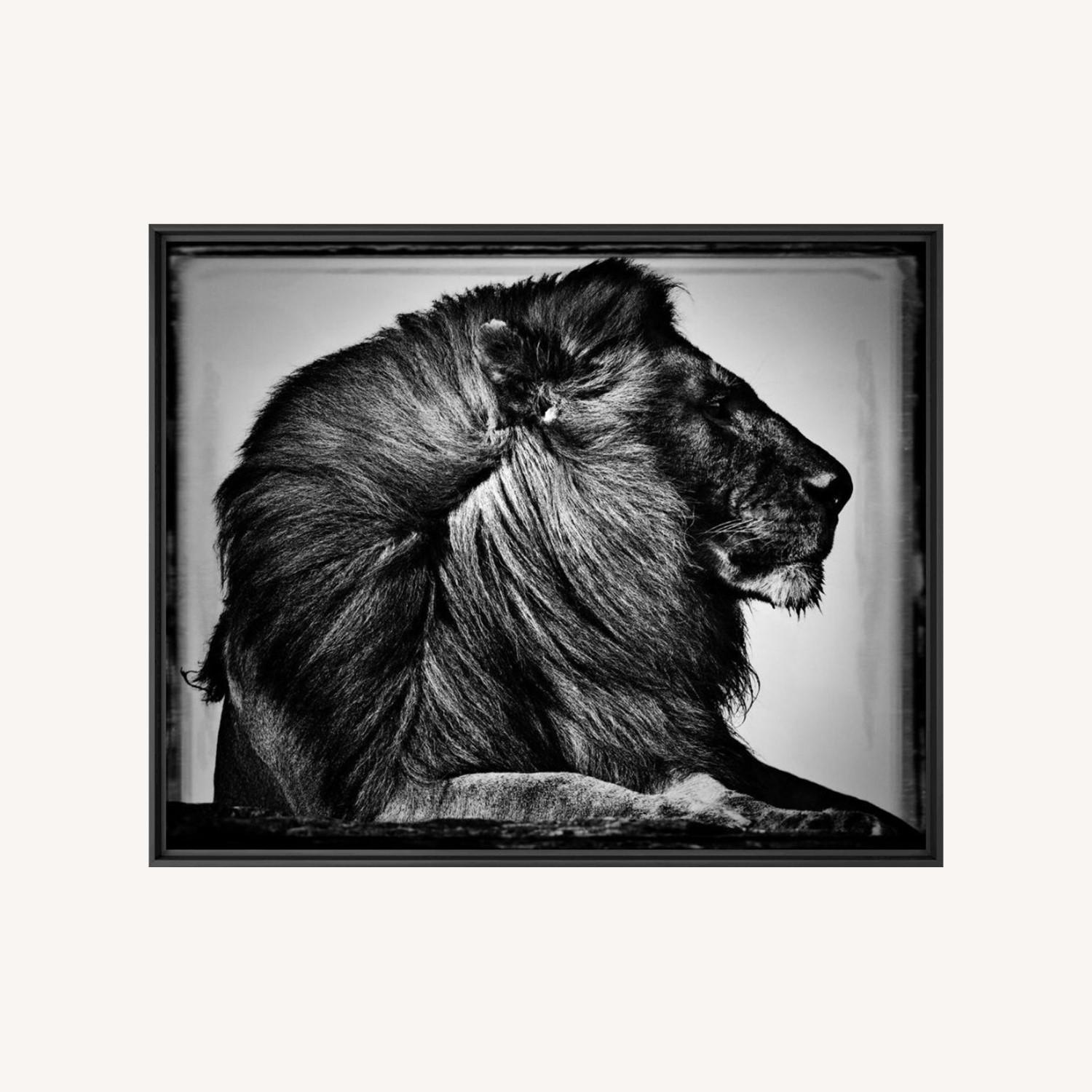 CRINIÈRE DE LION Print - image-0