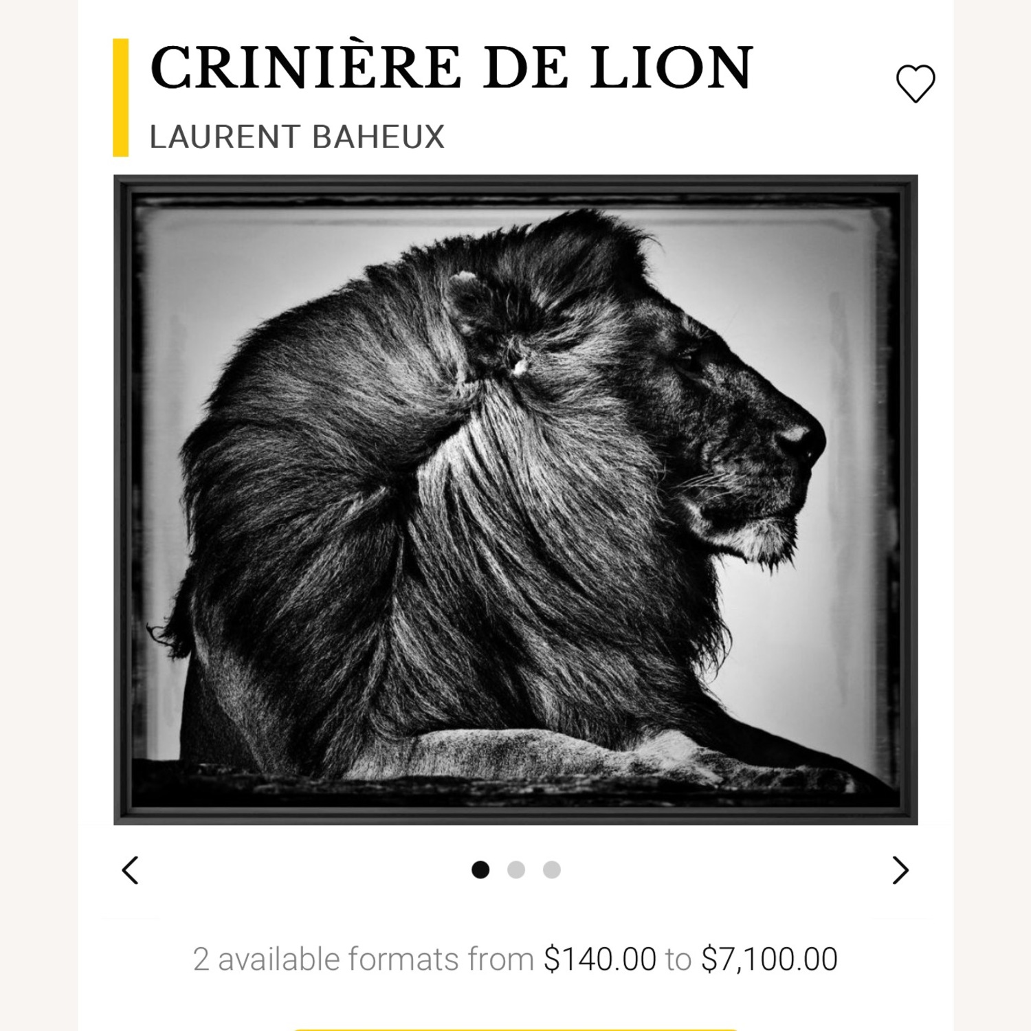CRINIÈRE DE LION Print - image-3