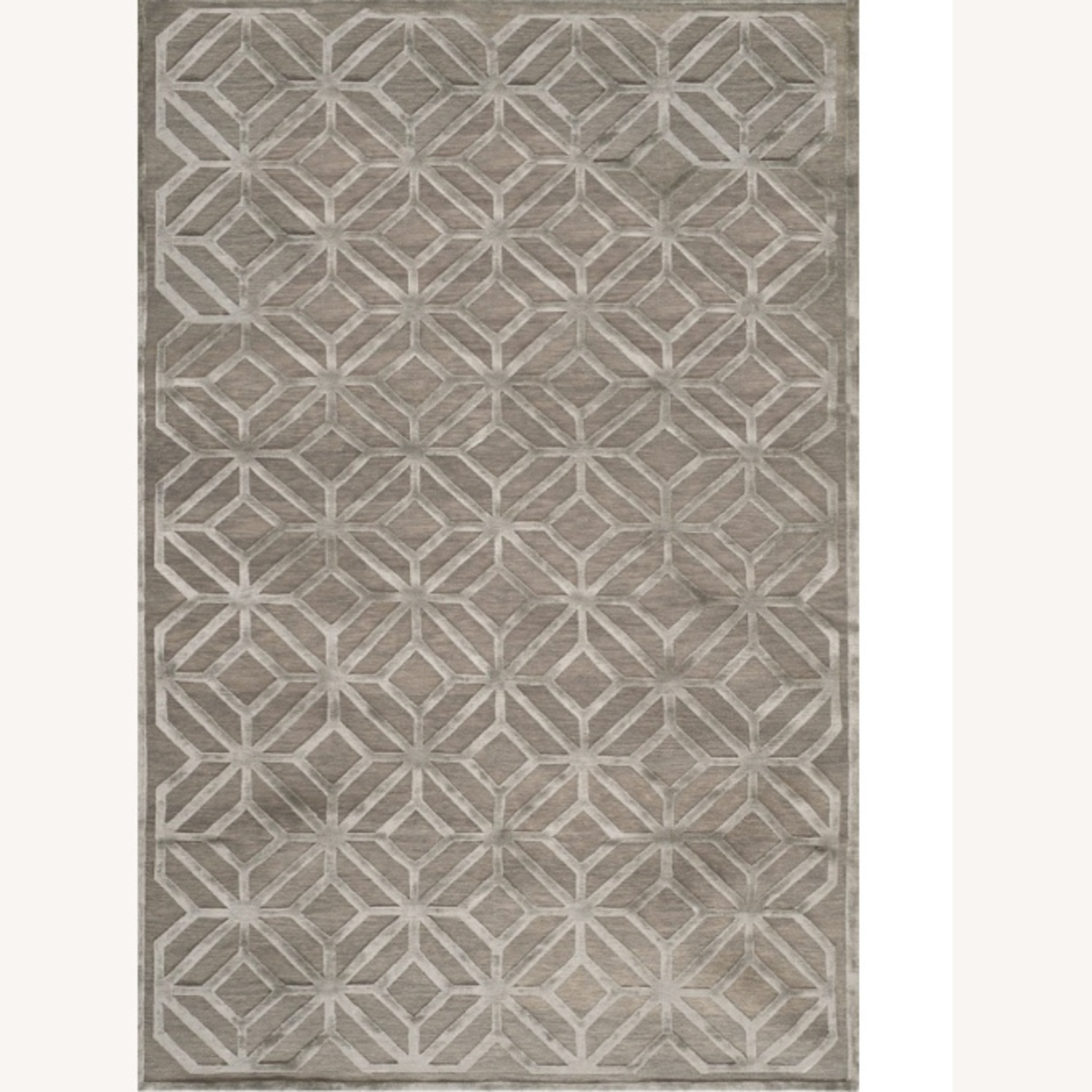Safavieh Rug - Designed Curated Living Room - image-7