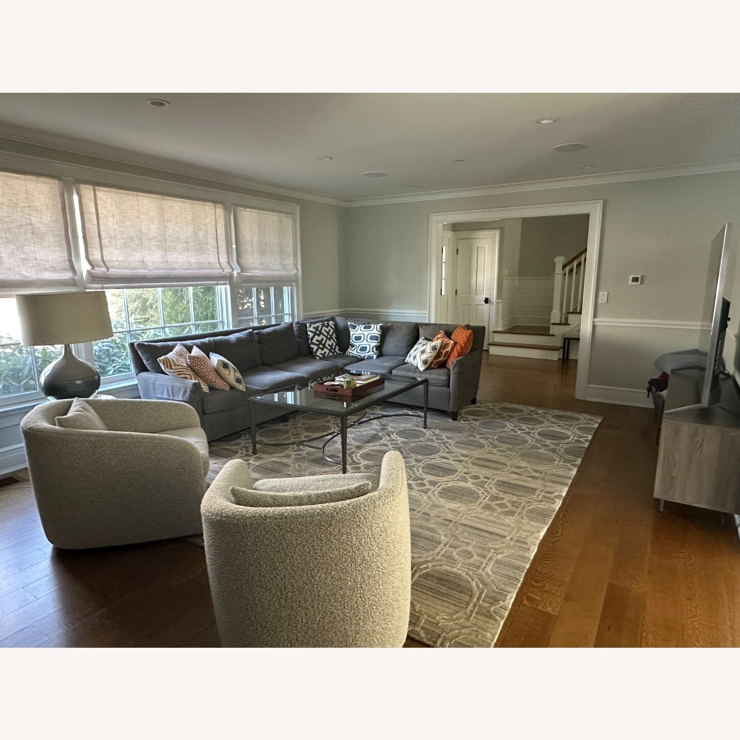 Safavieh Rug - Designed Curated Living Room - image-4