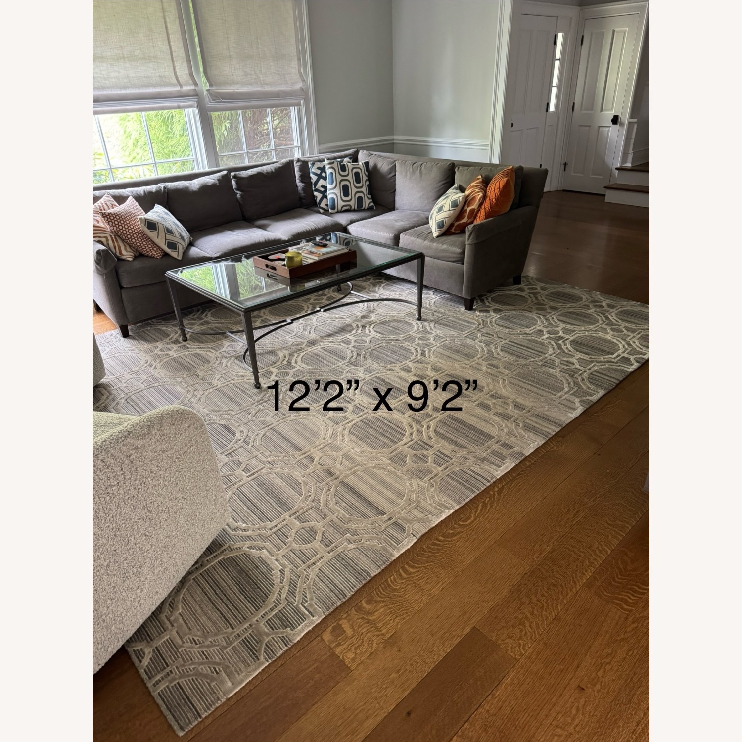 Safavieh Rug - Designed Curated Living Room - image-1