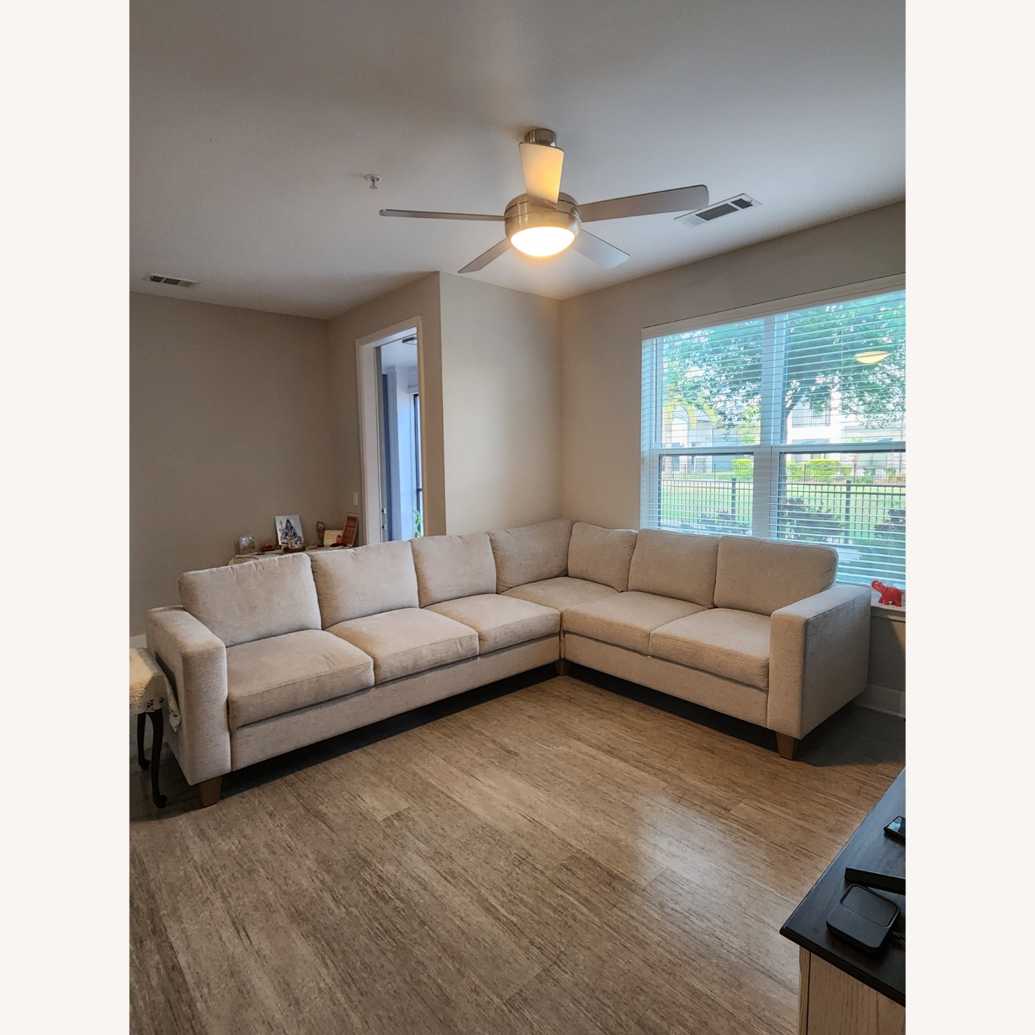 Costco Sofa/Extendable Sleeper - image-1