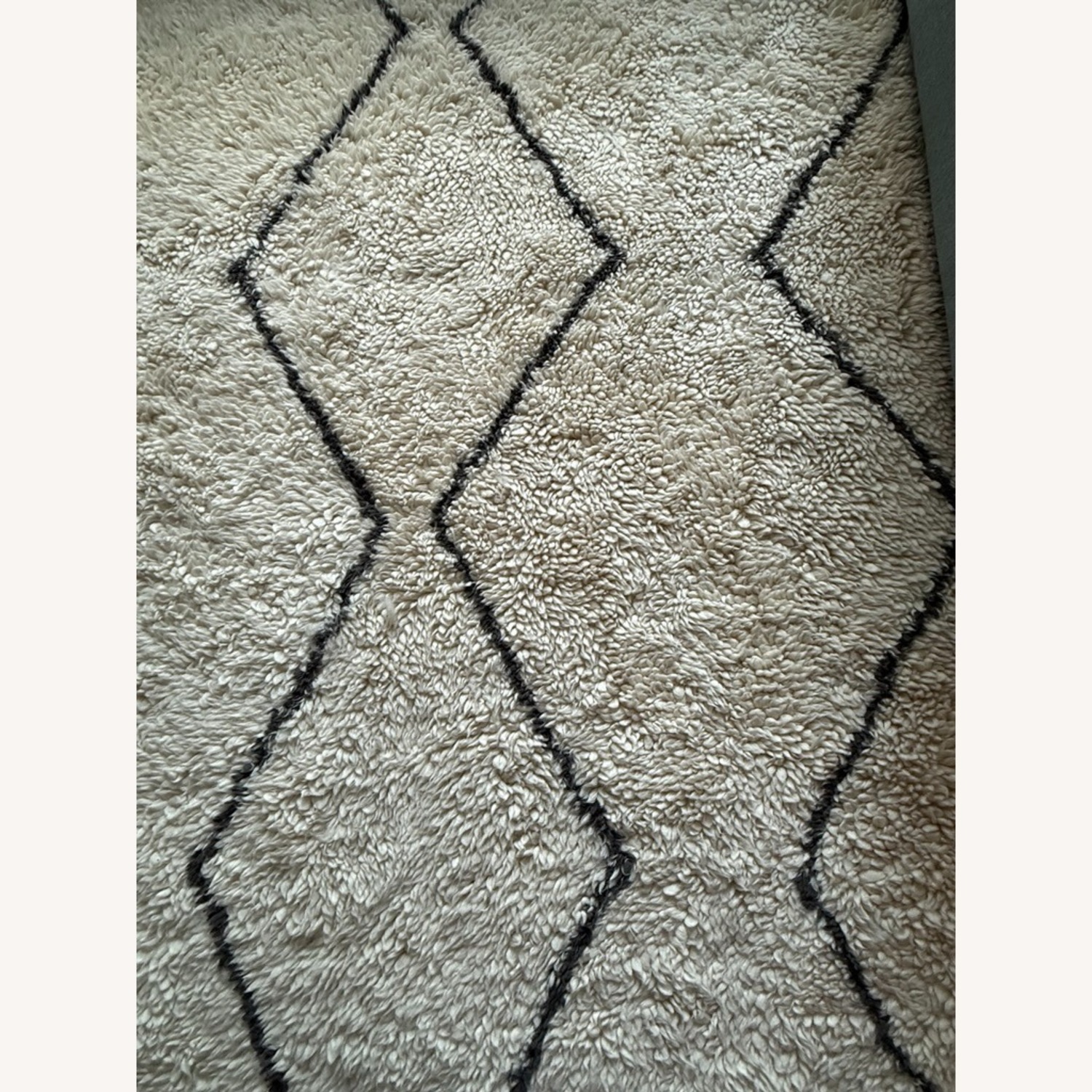 West Elm Souk Shag Rug 9X12 - image-2