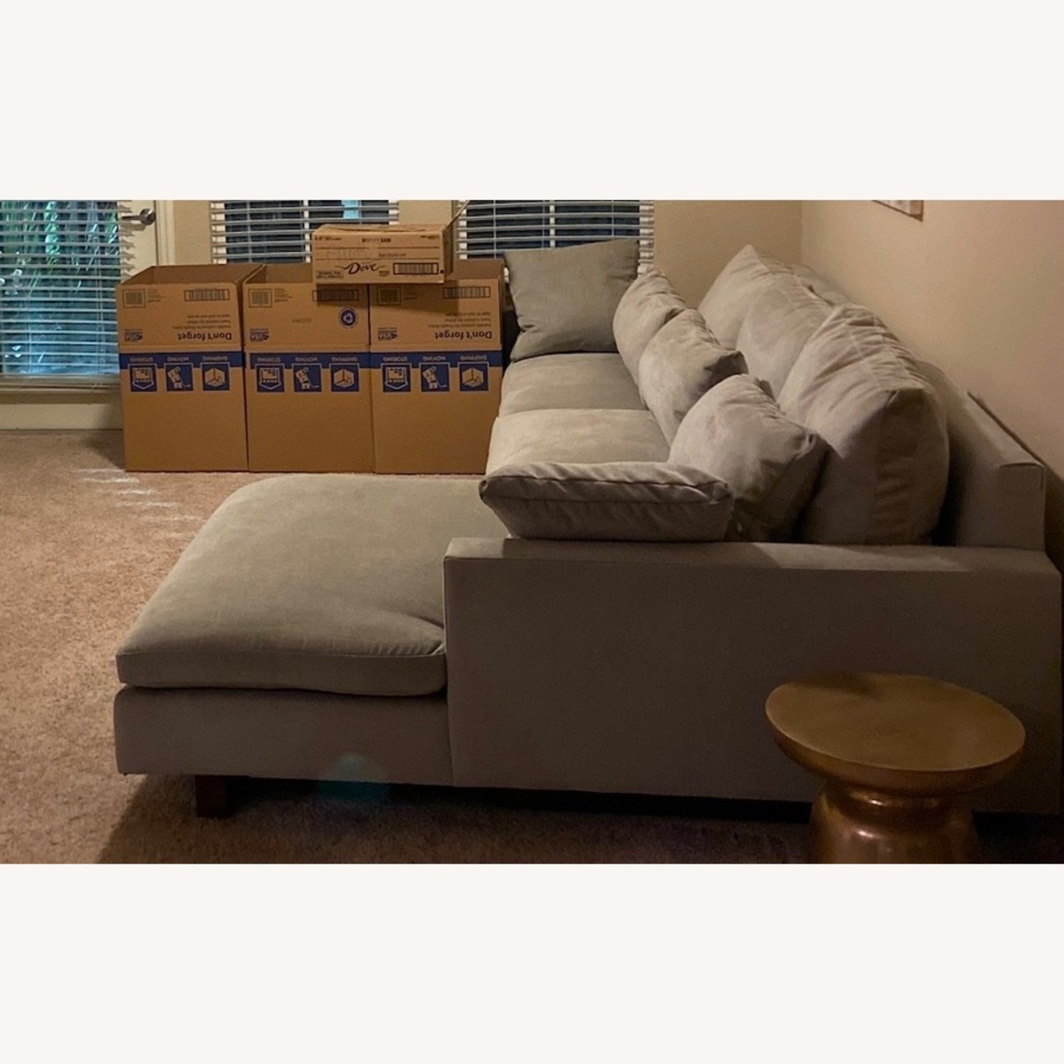 West Elm Harmony in Distressed Velvet Dune Color - image-2