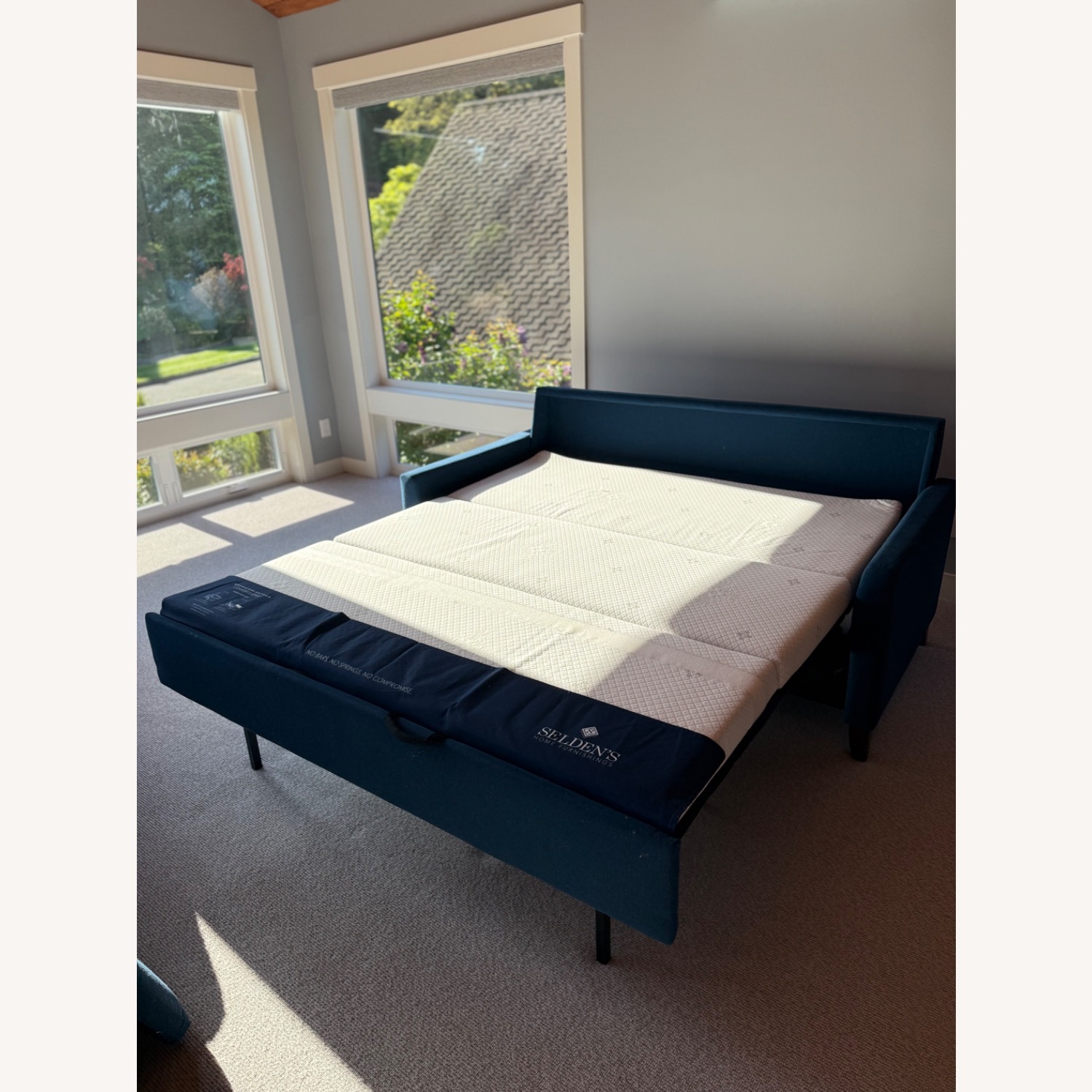 American Leather Selden's Home Furnishings Queen Sleeper Sofa - image-3