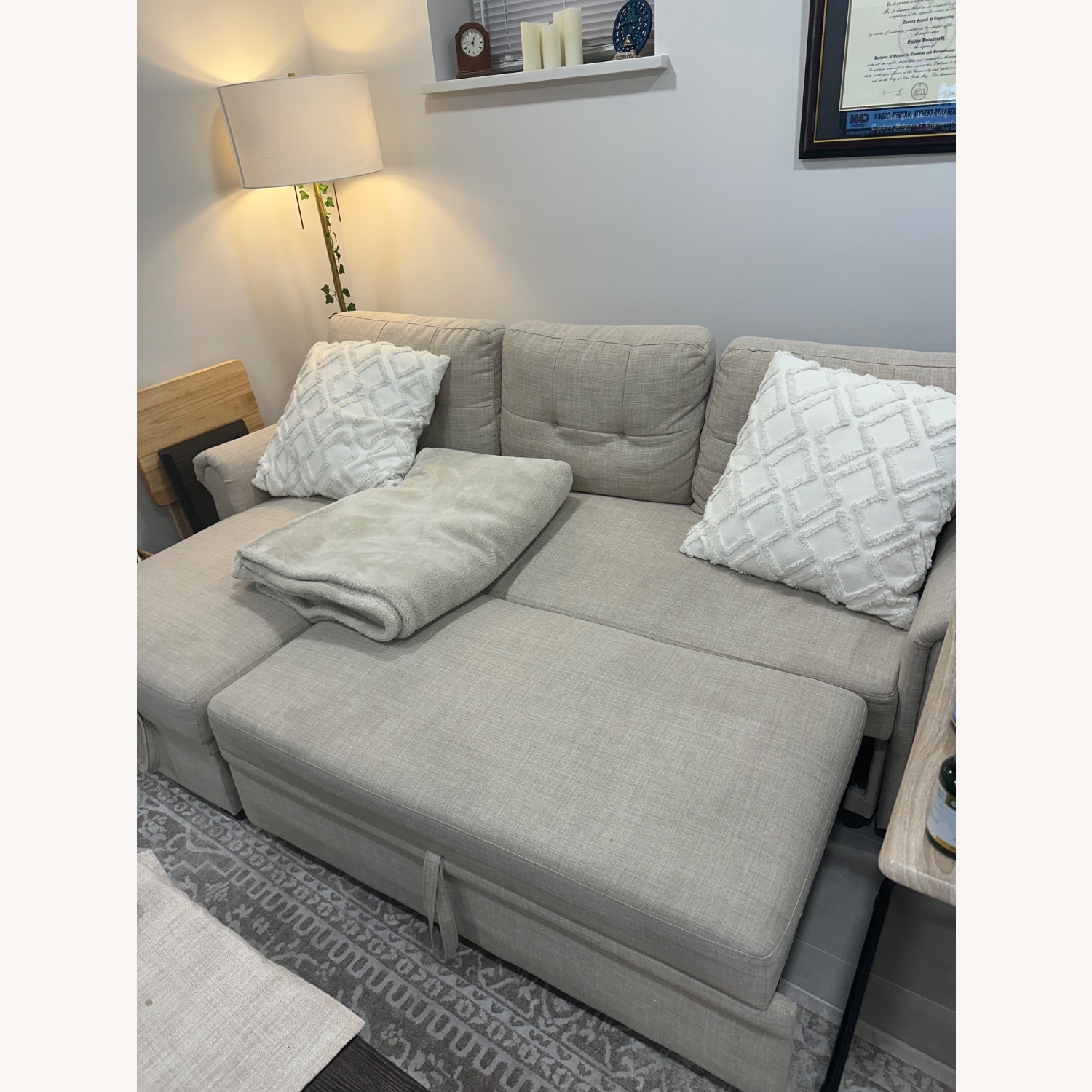 Pull Out Sofa with Storage - image-2