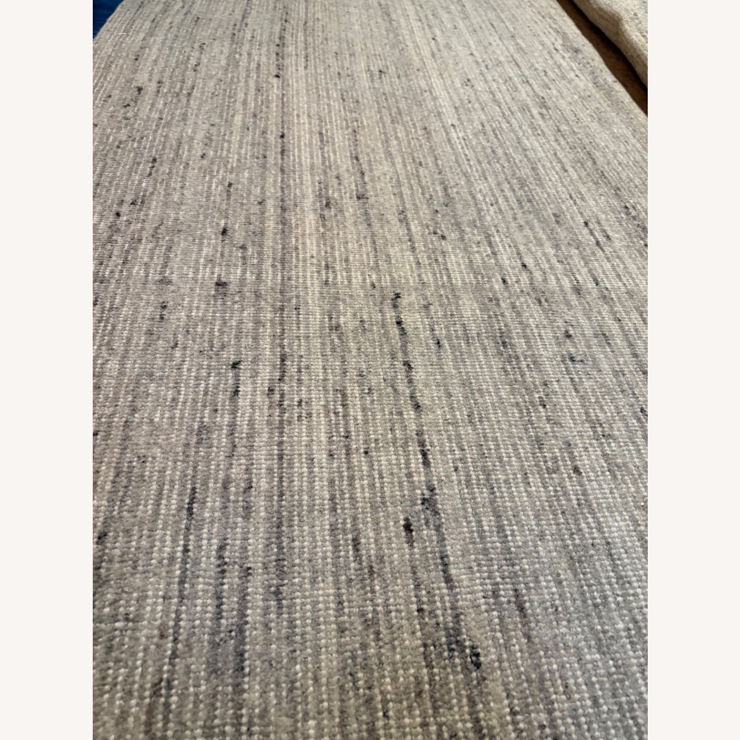 Restoration Hardware Reina Wool Rug, 10x14 - image-11