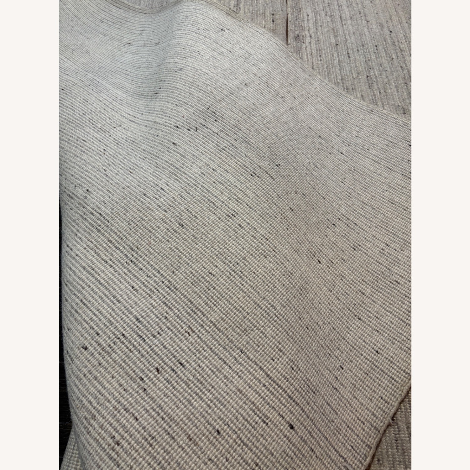 Restoration Hardware Reina Wool Rug, 10x14 - image-5