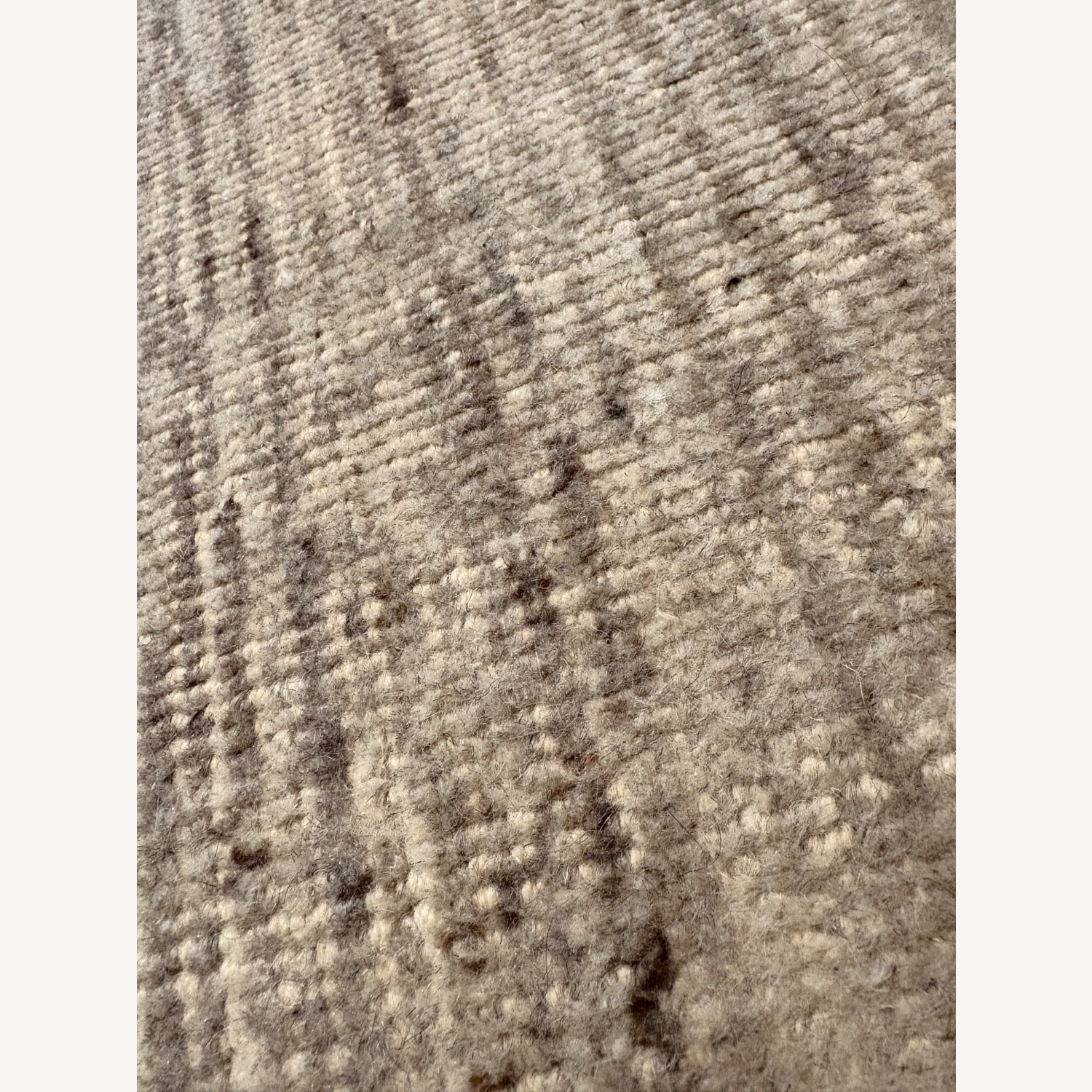 Restoration Hardware Reina Wool Rug, 10x14 - image-6