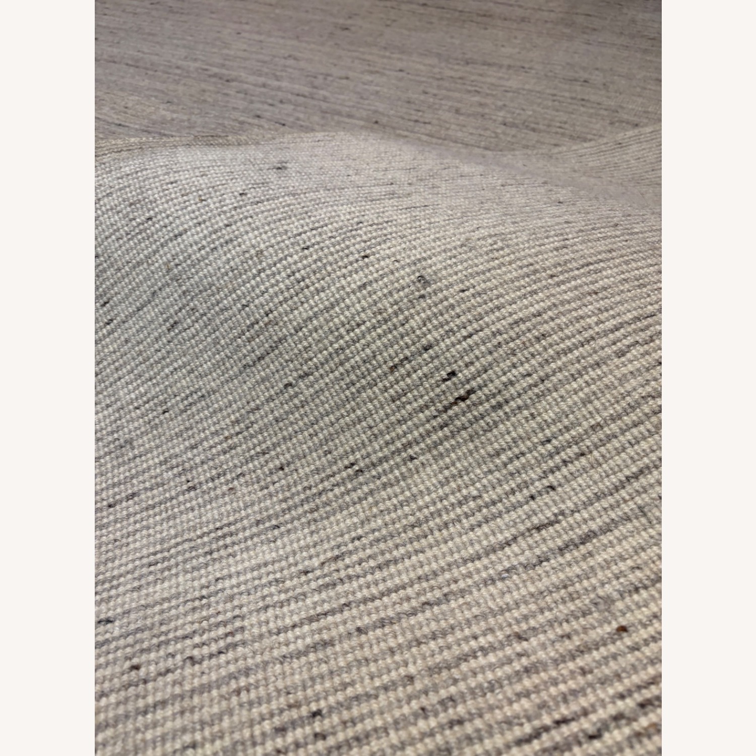 Restoration Hardware Reina Wool Rug, 10x14 - image-4