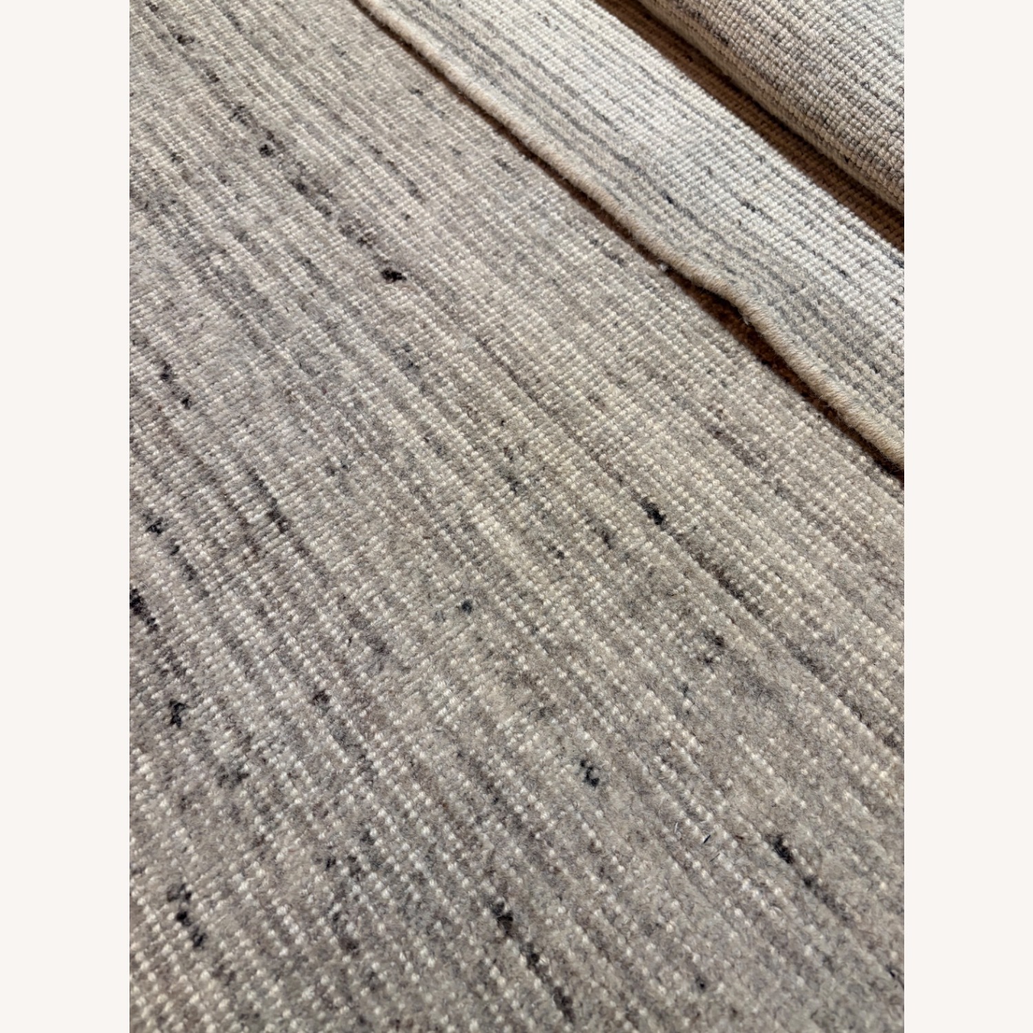Restoration Hardware Reina Wool Rug, 10x14 - image-14