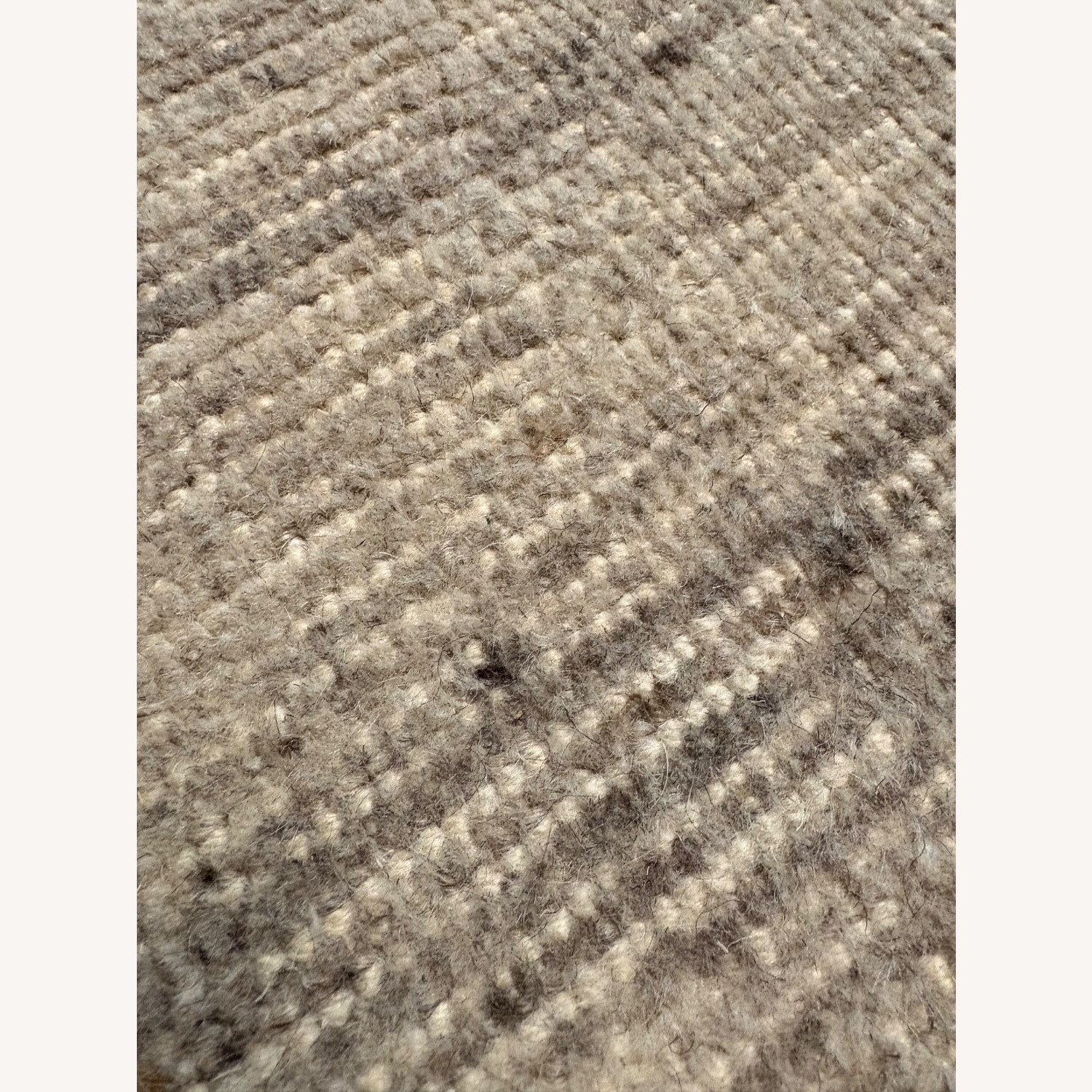 Restoration Hardware Reina Wool Rug, 10x14 - image-9
