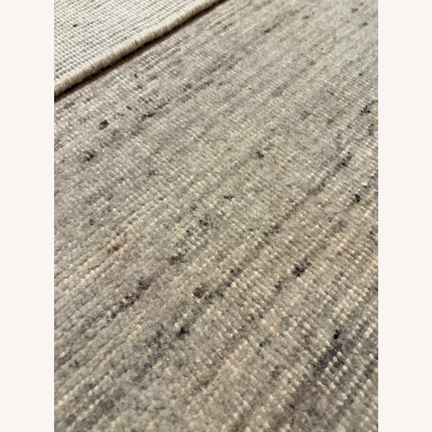 Restoration Hardware Reina Wool Rug, 10x14 - image-15
