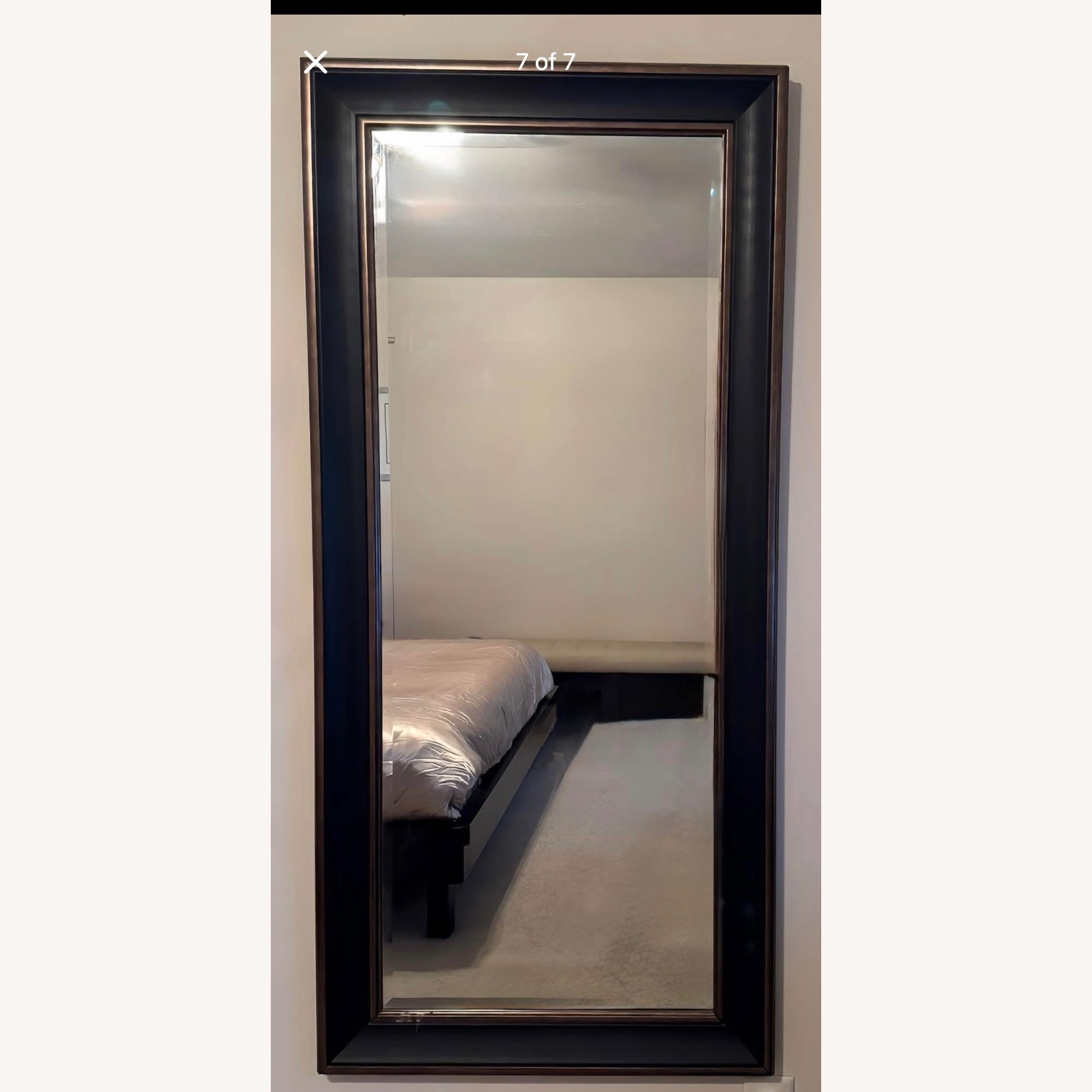 Home Goods Floor Mirror - image-1