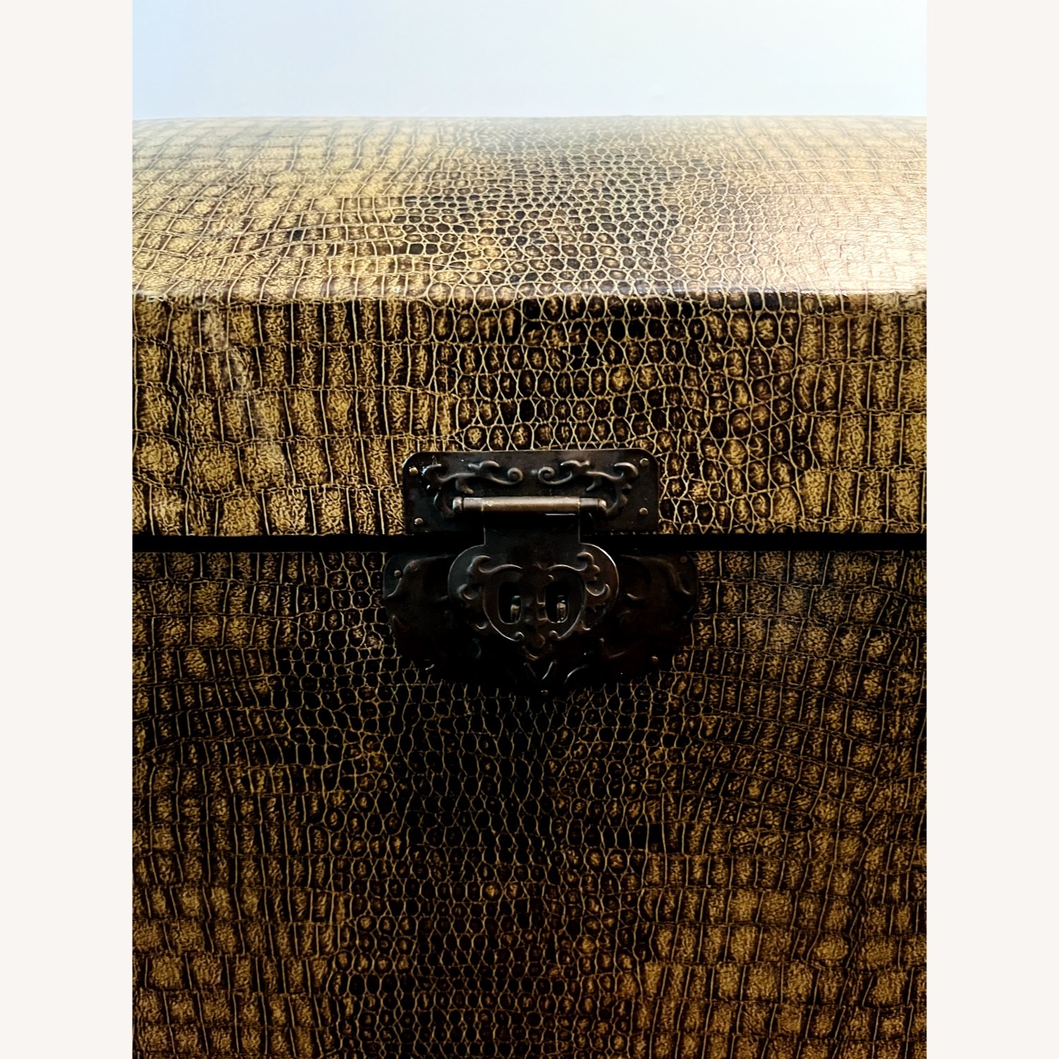 Vintage Storage Trunk Chest Faux Alligator Finish - image-4