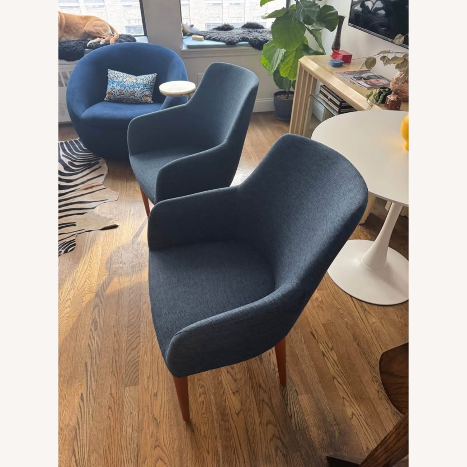 Set of Article Feast Chairs in Twilight Blue - image-4