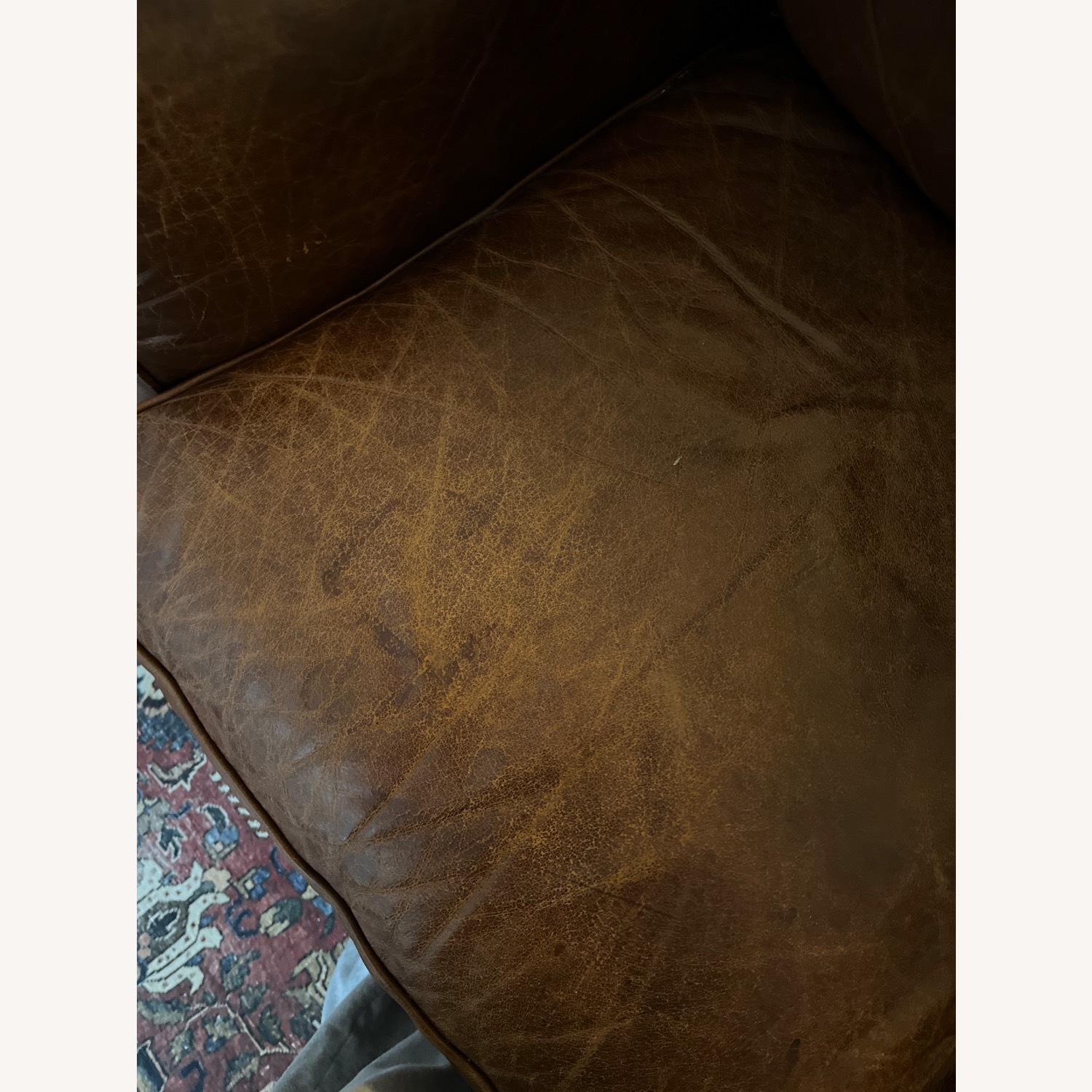 Pottery Barn Loveseat - image-4