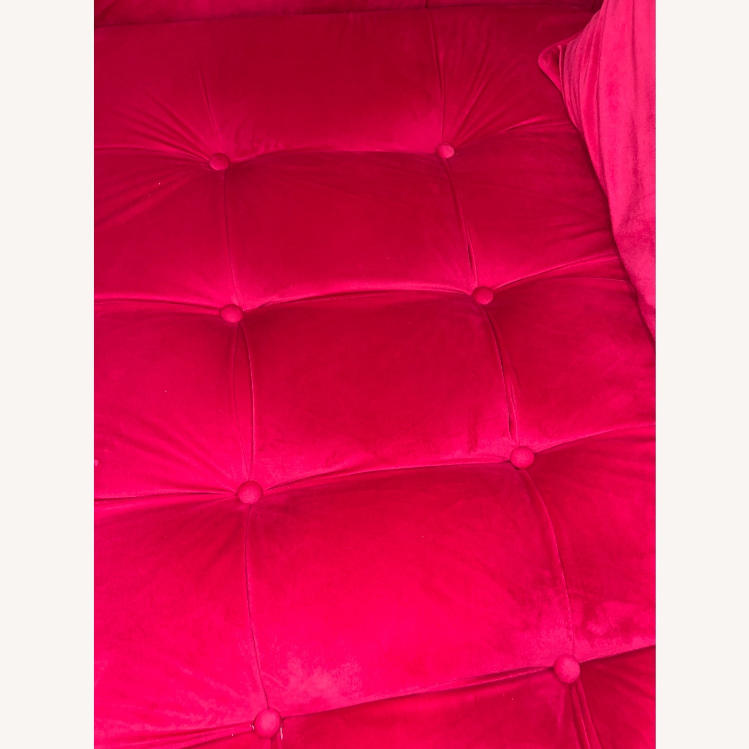 TOV Pink Couch - image-9