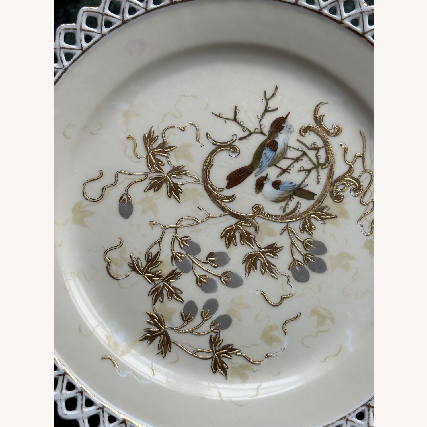Antique F.W.  Set of 2 Decorative Birds Plates - image-24