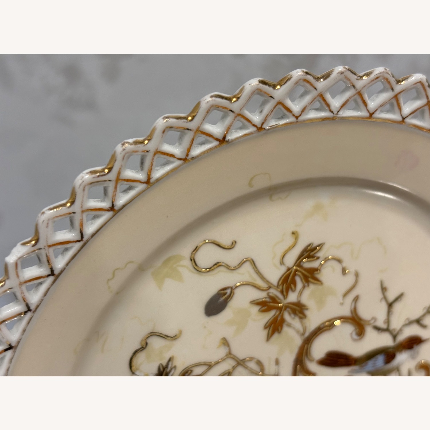 Antique F.W.  Set of 2 Decorative Birds Plates - image-15