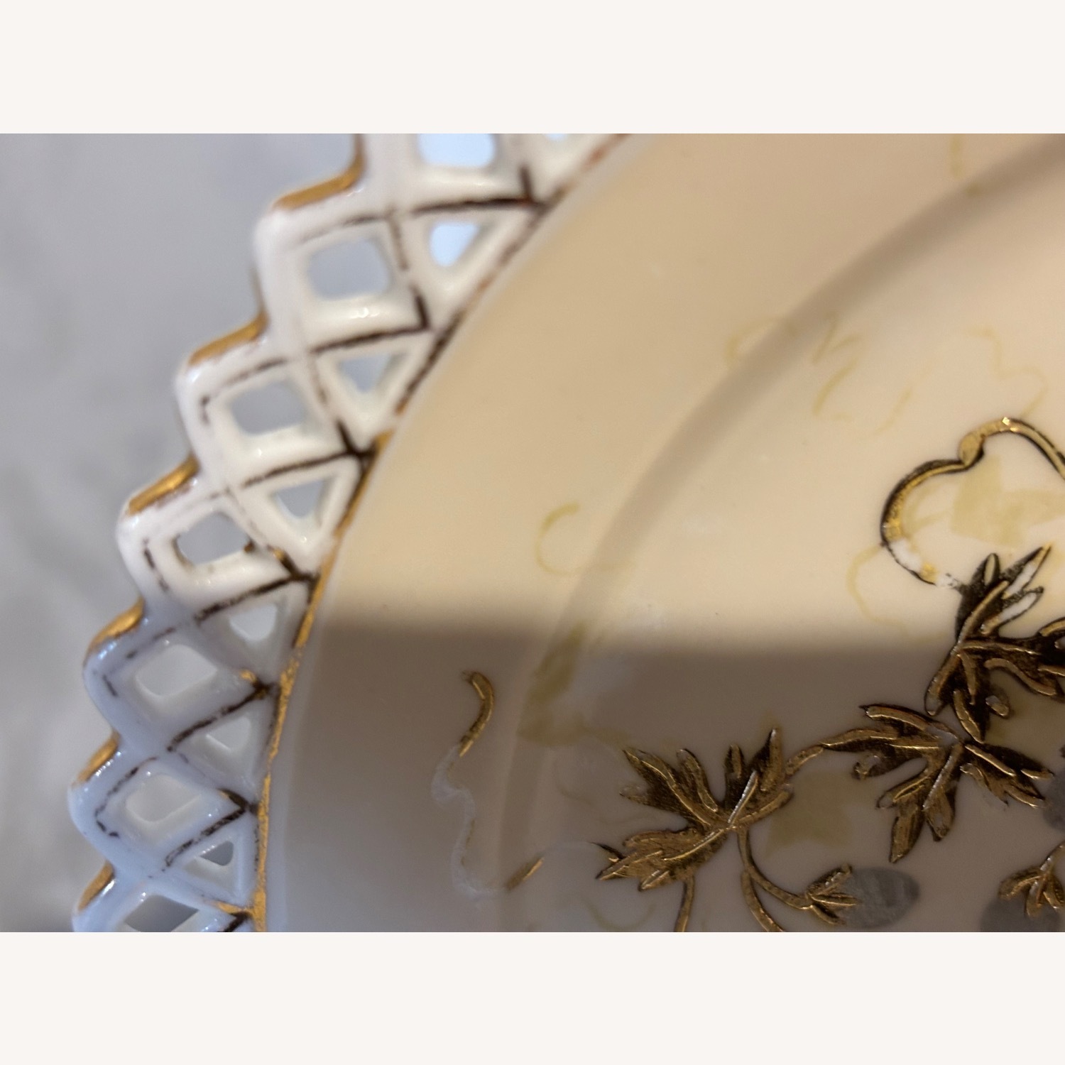 Antique F.W.  Set of 2 Decorative Birds Plates - image-16