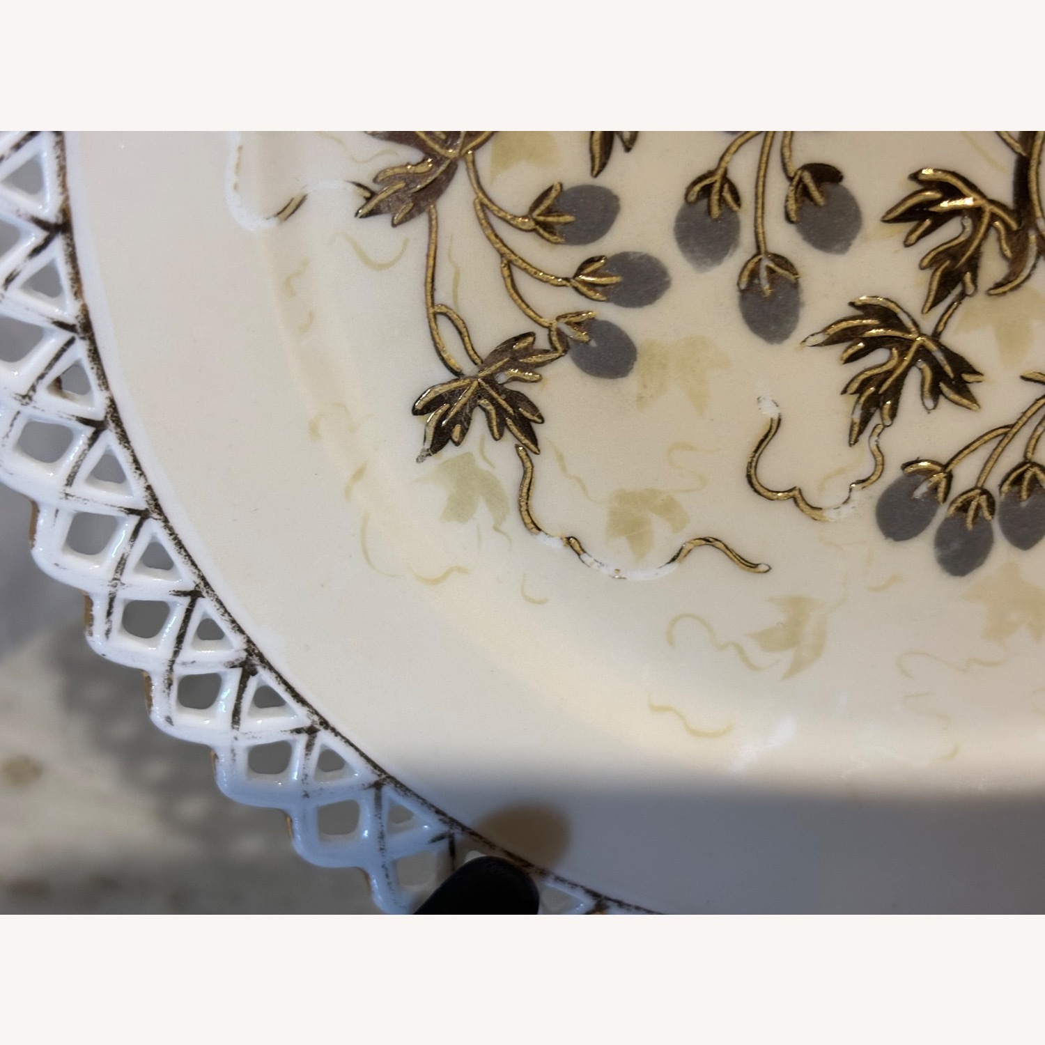 Antique F.W.  Set of 2 Decorative Birds Plates - image-17