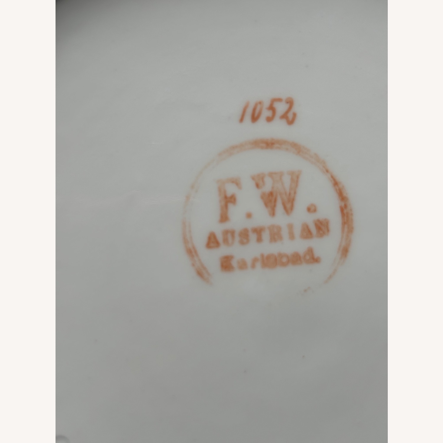 Antique F.W.  Set of 2 Decorative Birds Plates - image-21