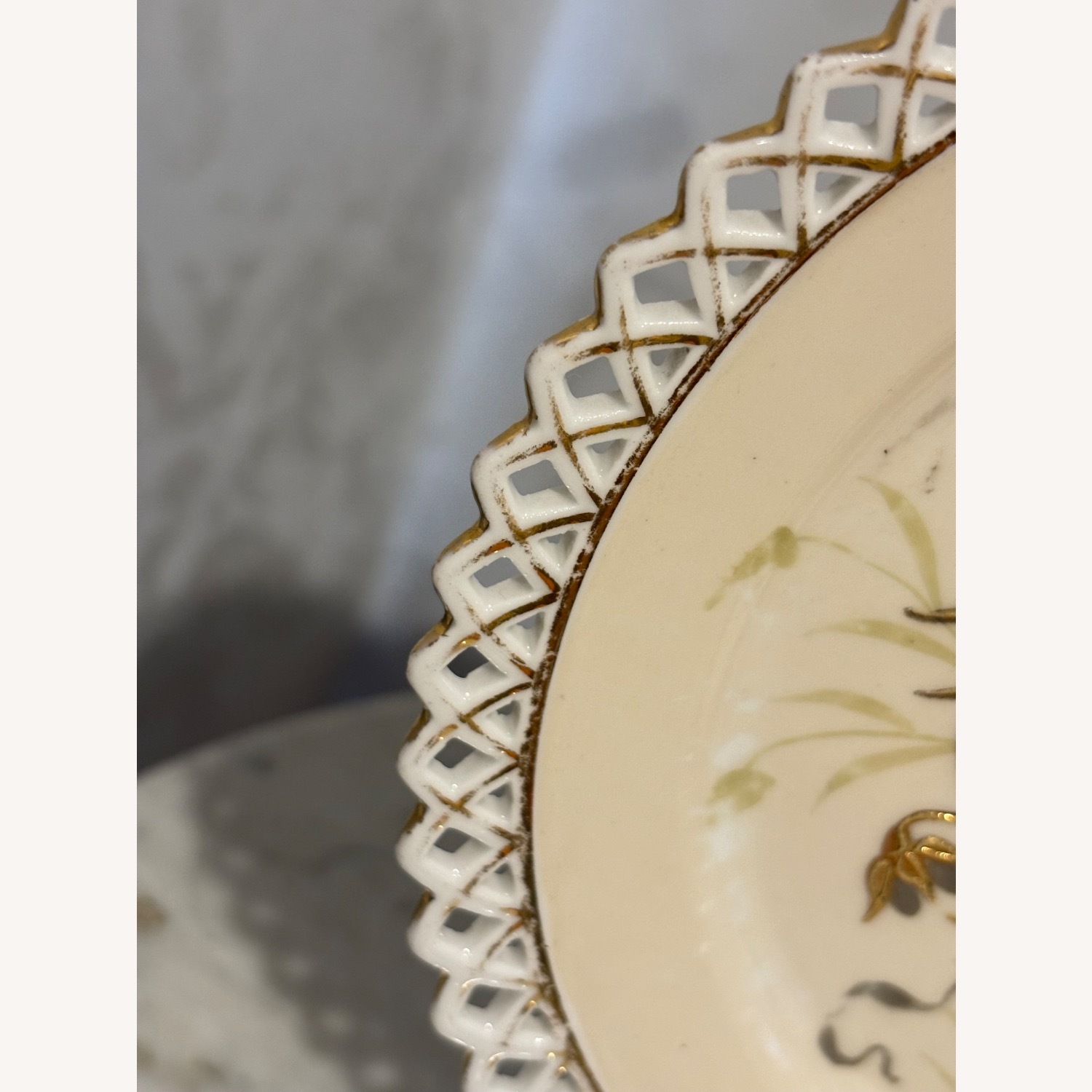 Antique F.W.  Set of 2 Decorative Birds Plates - image-9