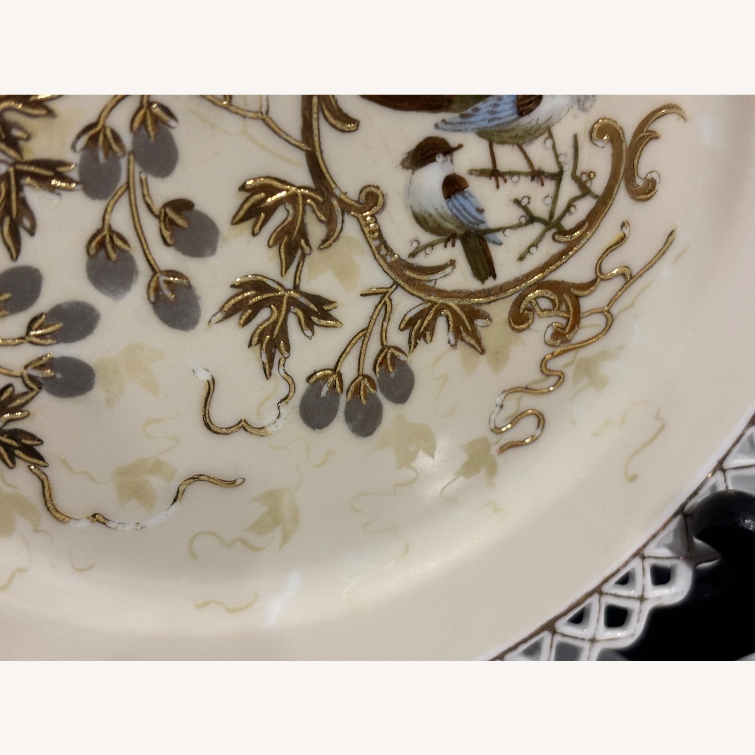 Antique F.W.  Set of 2 Decorative Birds Plates - image-13