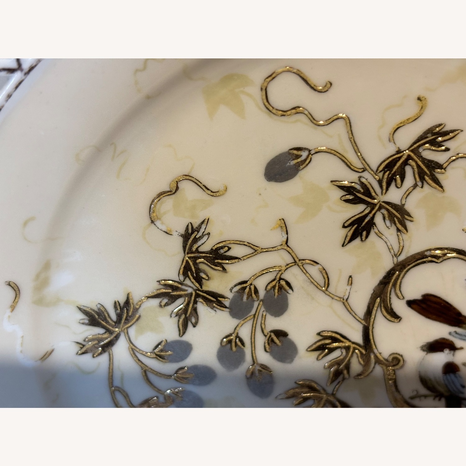 Antique F.W.  Set of 2 Decorative Birds Plates - image-12