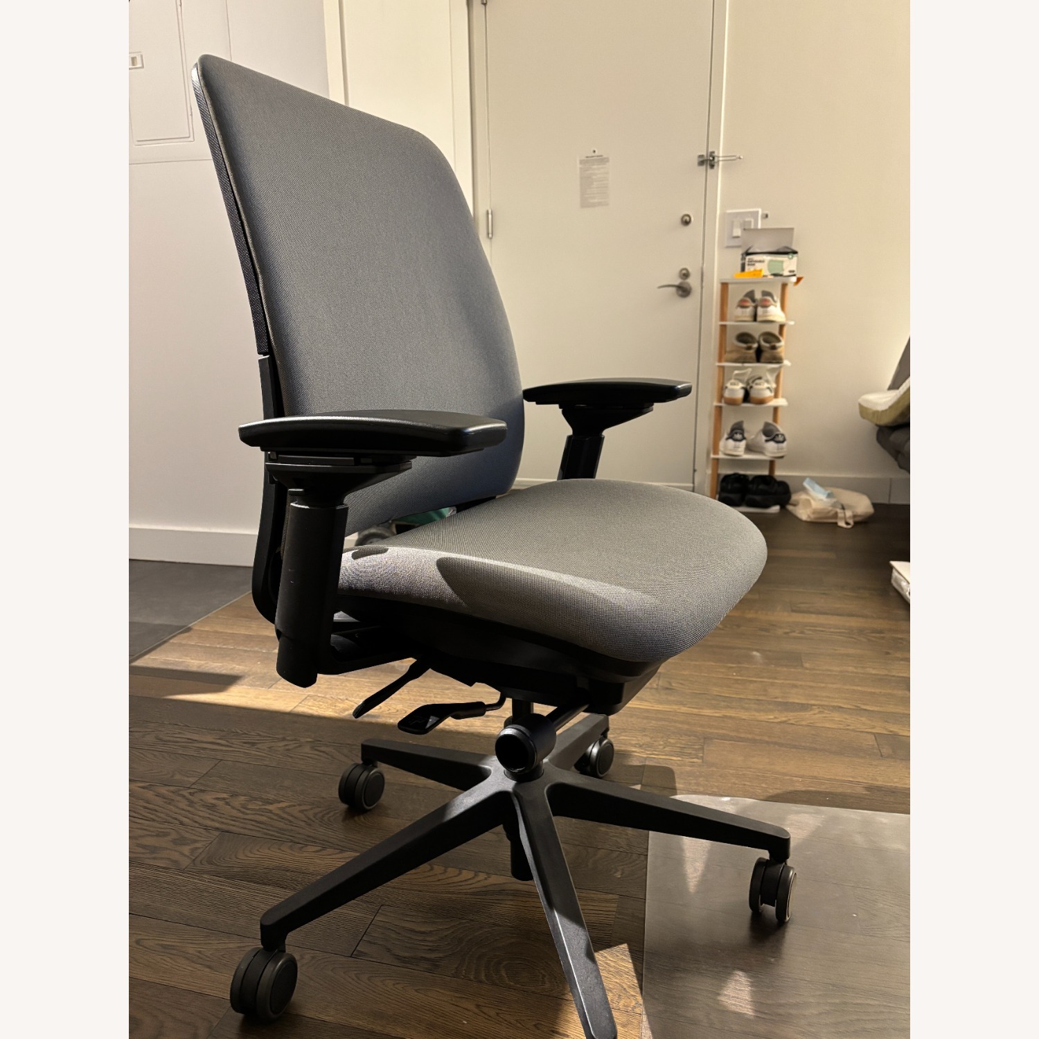 Steelcase Amia Office Chair Lumbar Support - image-1