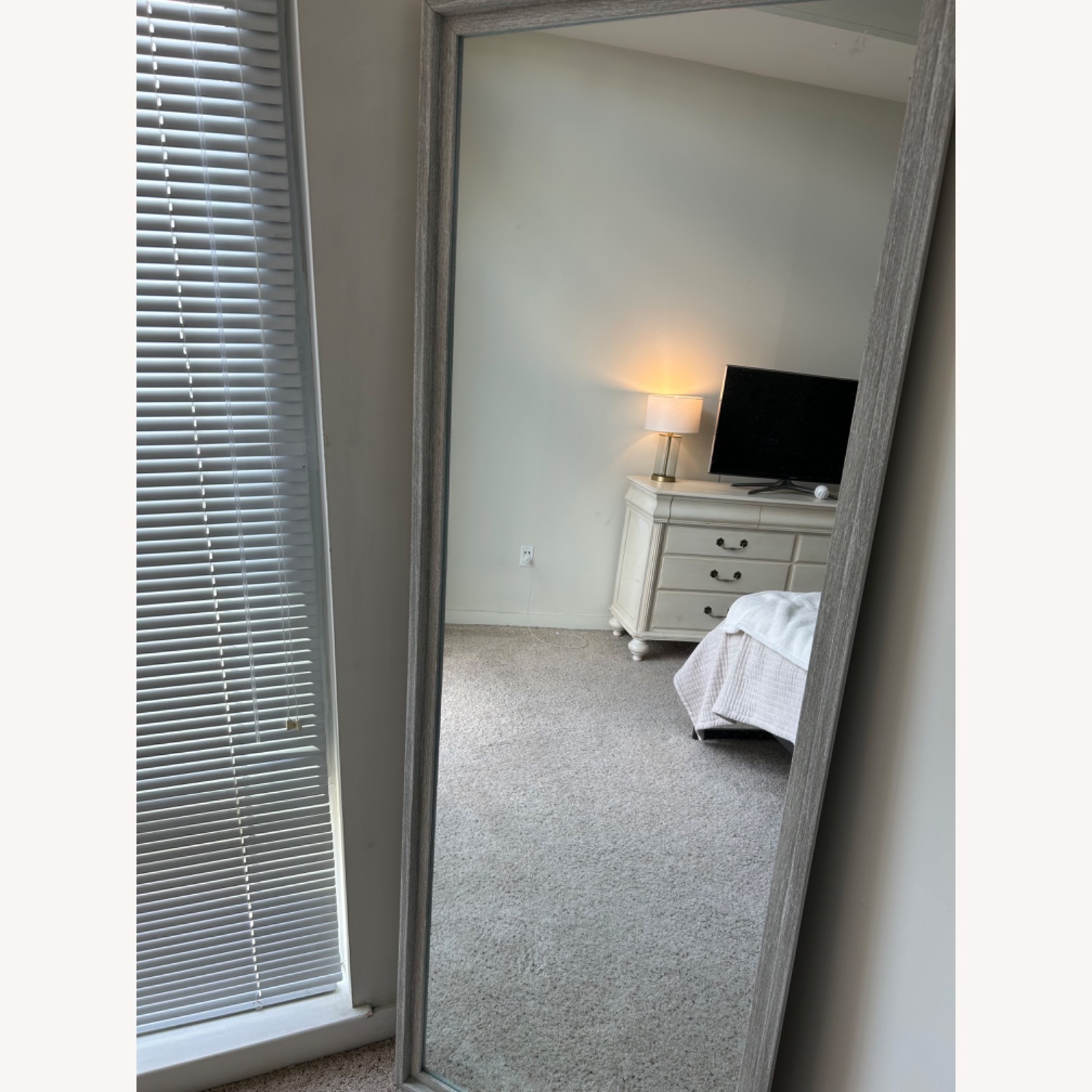 Home Goods Gray Floor Length Mirror - image-3