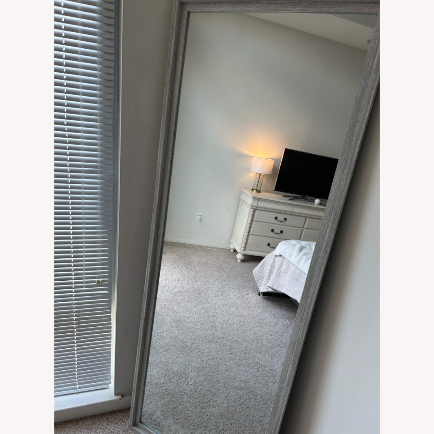 Home Goods Gray Floor Length Mirror - image-2